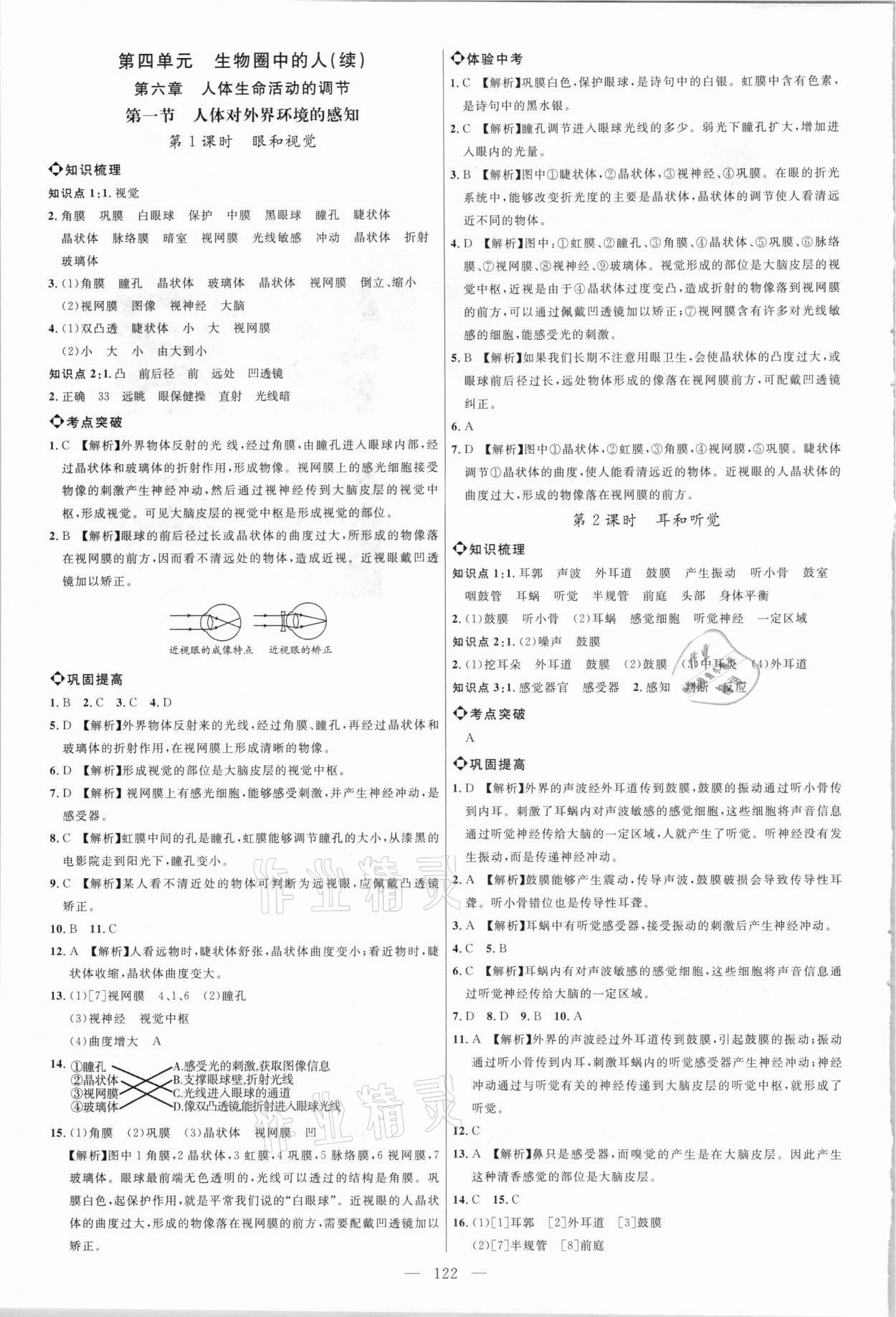 2021年細解巧練七年級生物下冊魯科版54制 參考答案第1頁