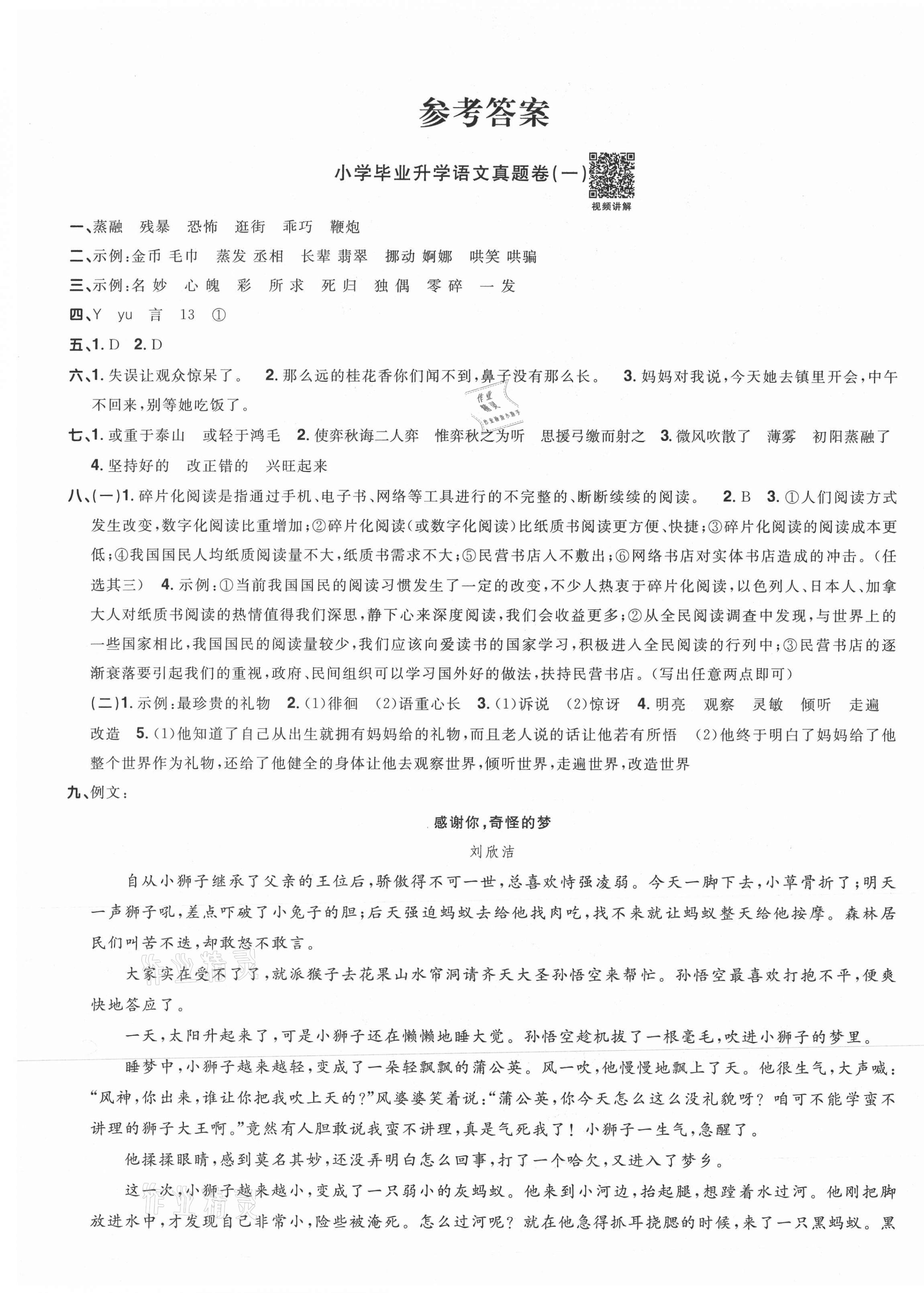 2021年阳光同学小学毕业升学系统总复习语文 第1页