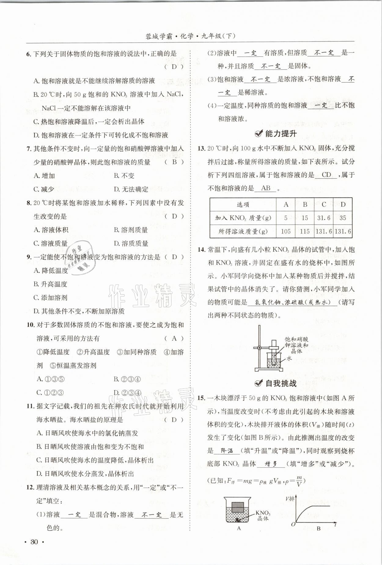 2021年蓉城学霸九年级化学下册人教版 第30页
