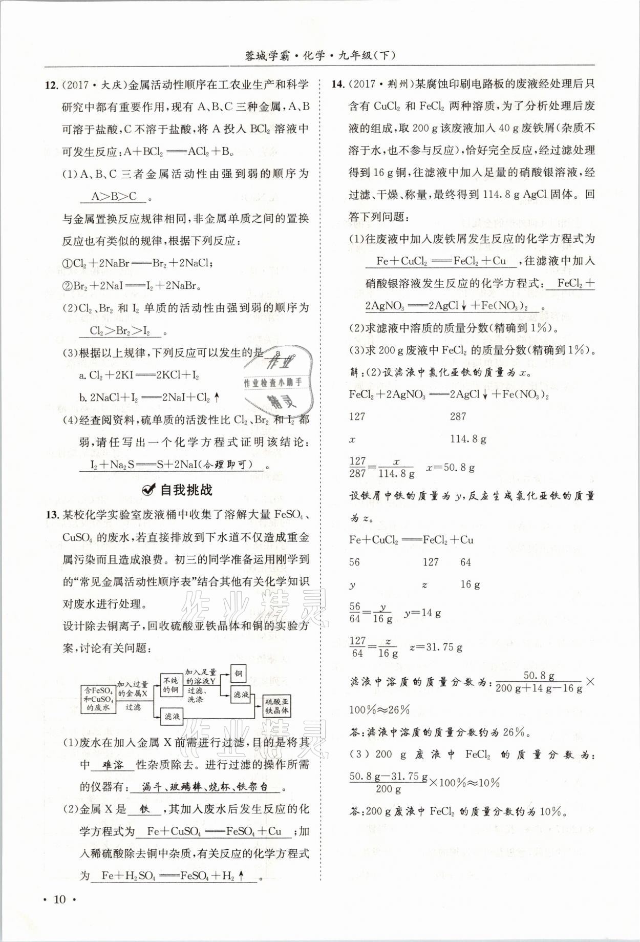 2021年蓉城学霸九年级化学下册人教版 第10页