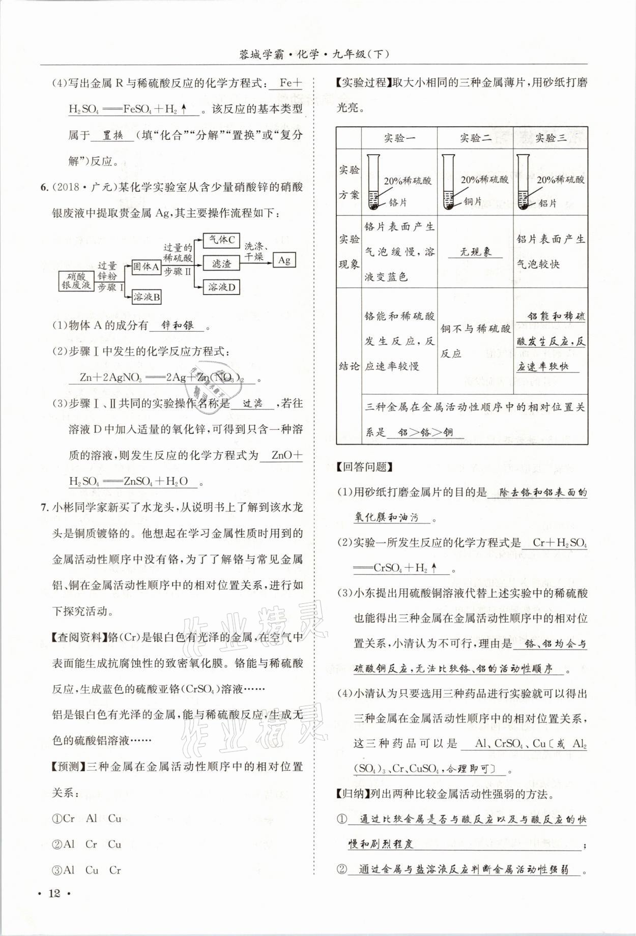 2021年蓉城学霸九年级化学下册人教版 第12页