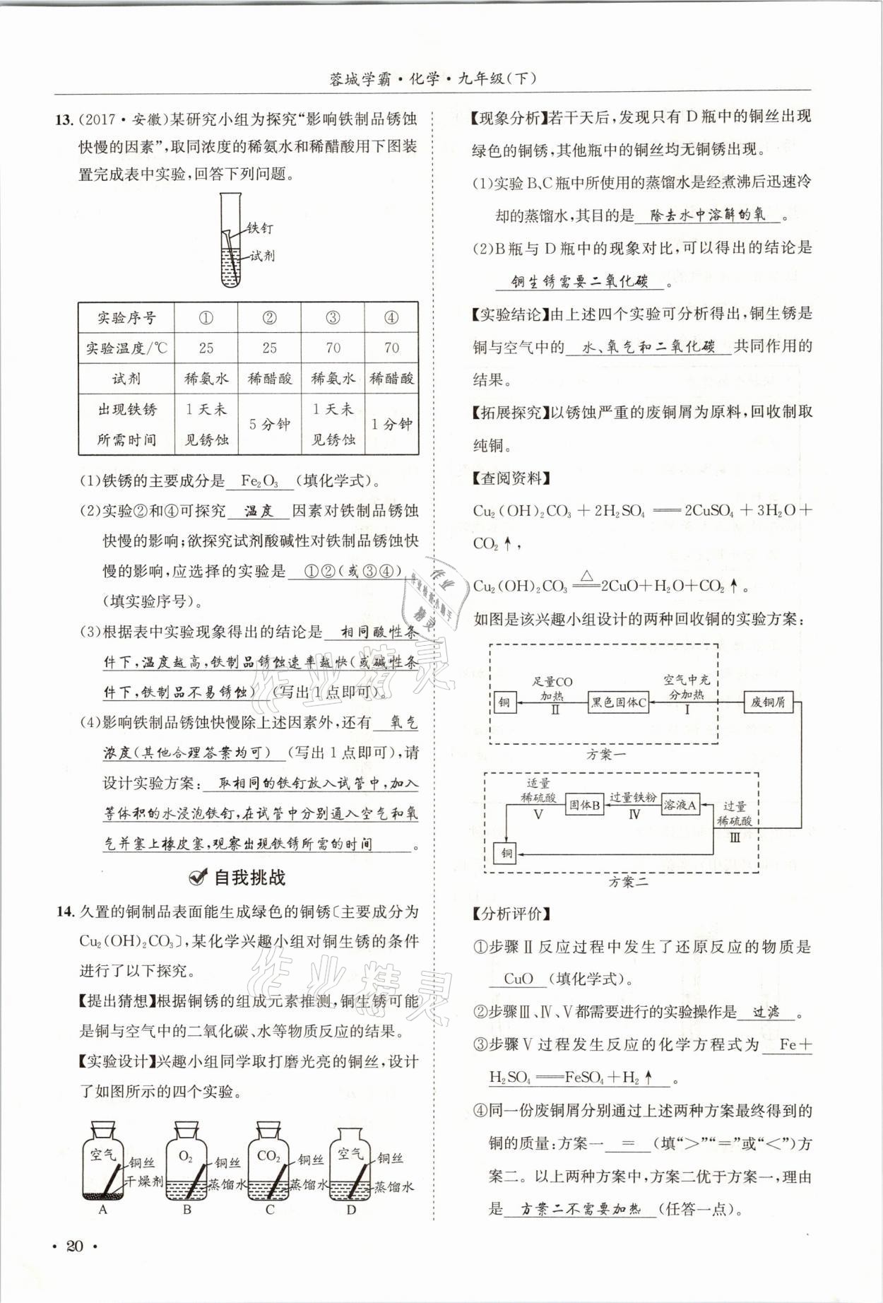 2021年蓉城学霸九年级化学下册人教版 第20页
