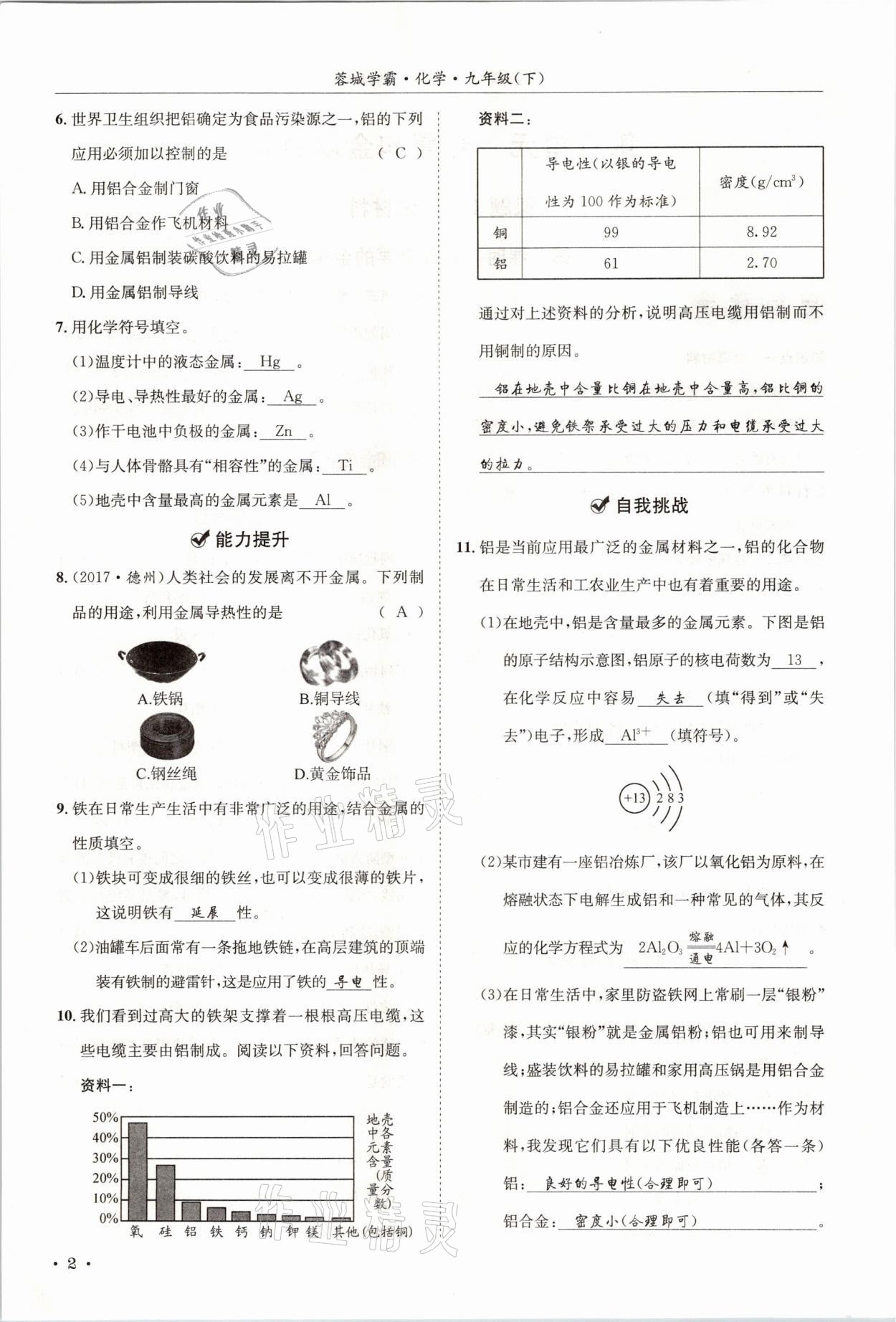 2021年蓉城学霸九年级化学下册人教版 第2页