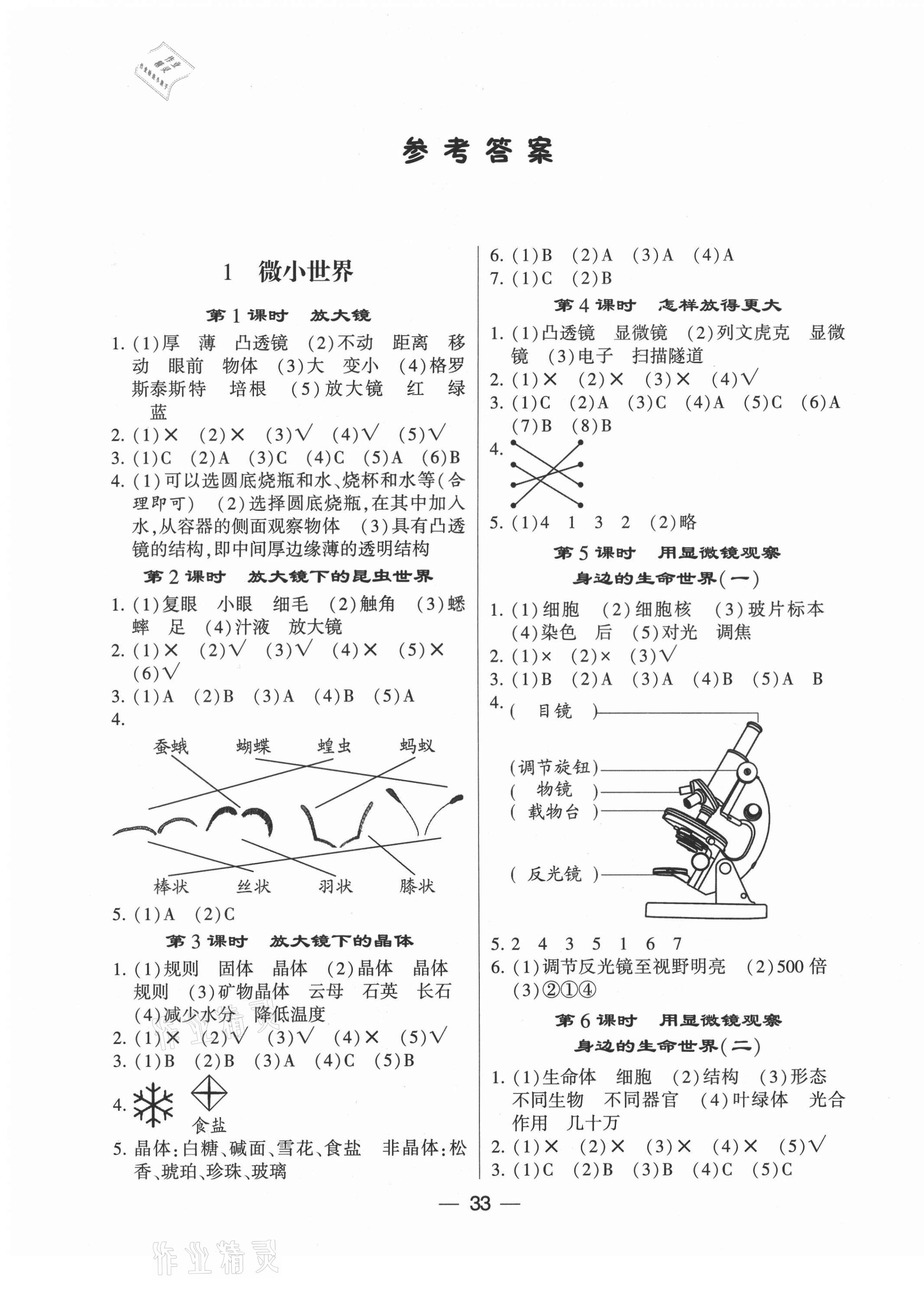 2021年經(jīng)綸學(xué)典棒棒堂六年級科學(xué)下冊教科版 第1頁