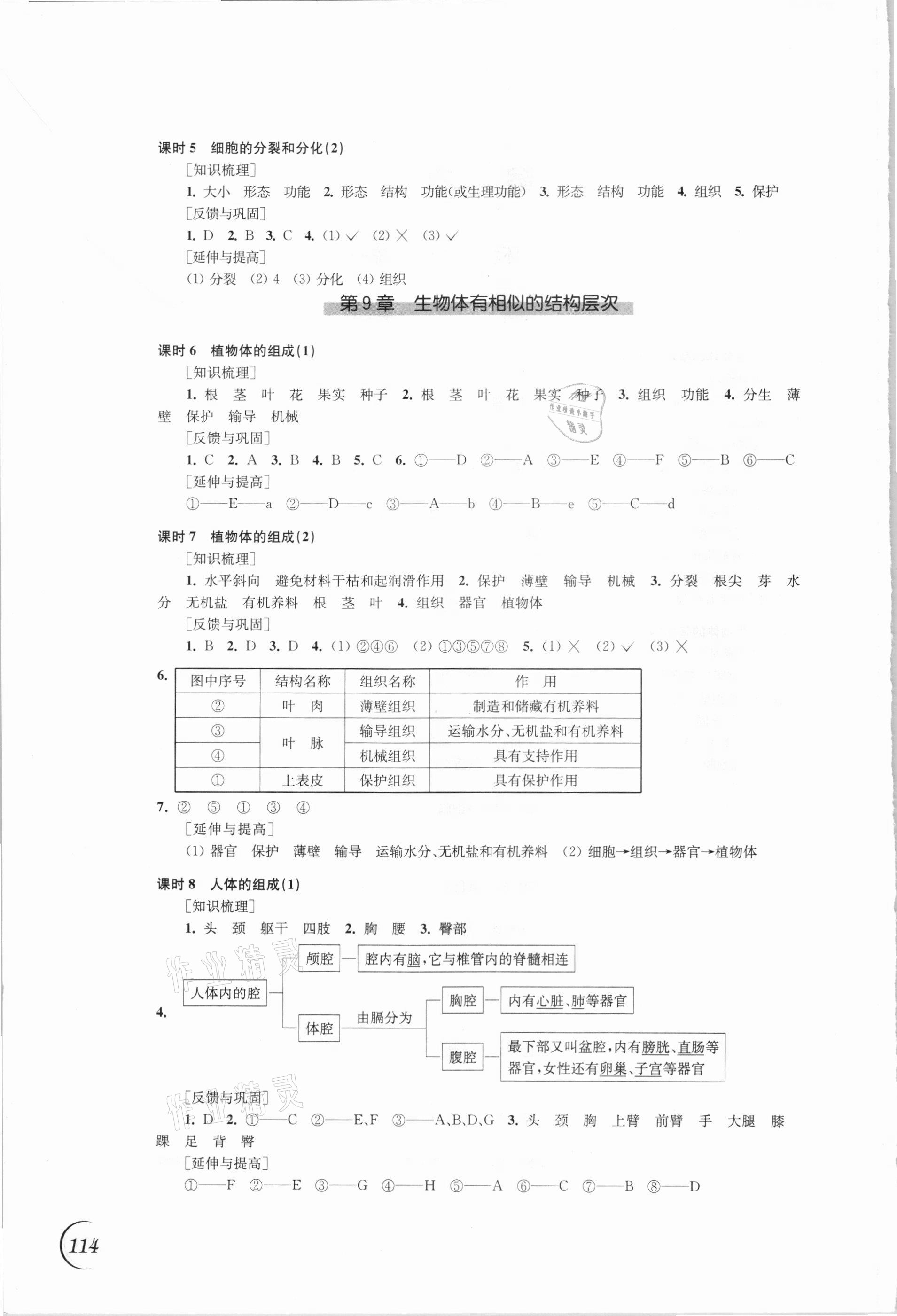 2021年同步練習(xí)江蘇七年級生物下冊蘇科版 第2頁