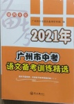 2021年广州市中考语文备考训练精选