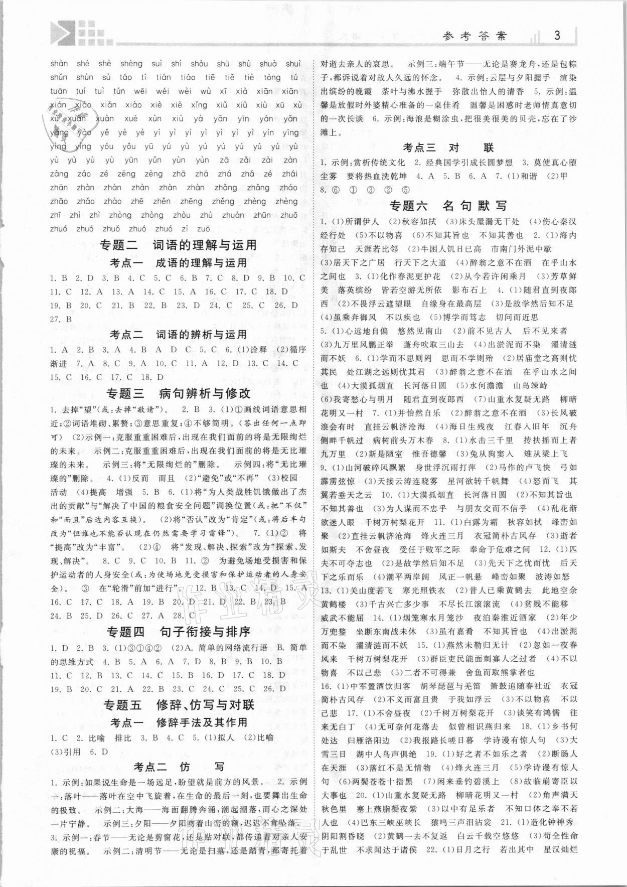 2021年金牌教练赢在燕赵初中总复习语文河北专用 第3页