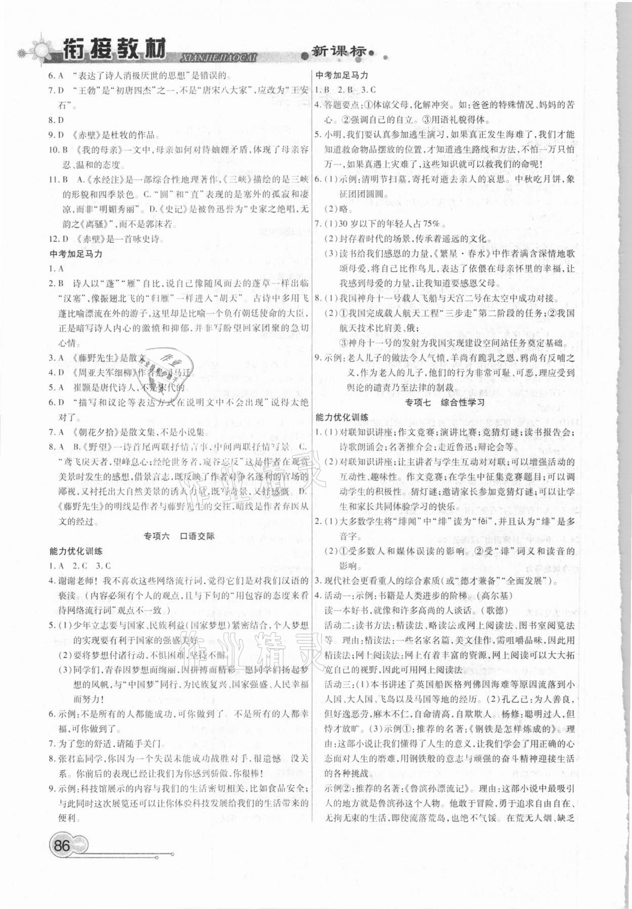 2021年銜接教材學(xué)期復(fù)習(xí)寒假八年級(jí)語文吉林教育出版社 第2頁