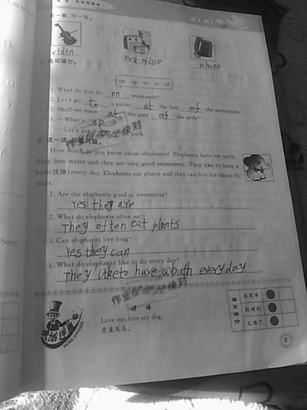 2021年寒假作业六年级英语陕旅版甘肃少年儿童出版社 第5页