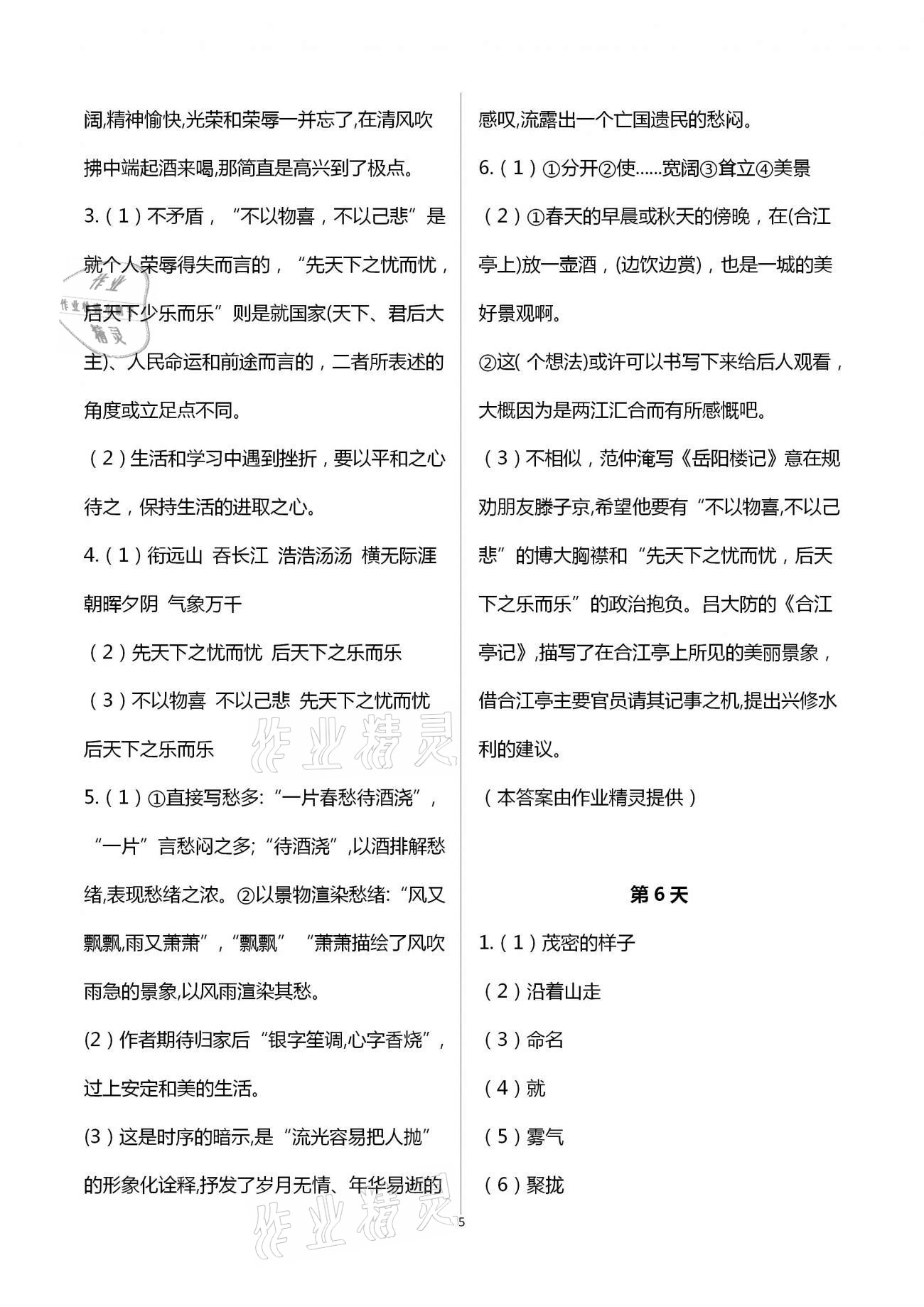 2021年优化学习寒假20天九年级语文江苏适用 第5页