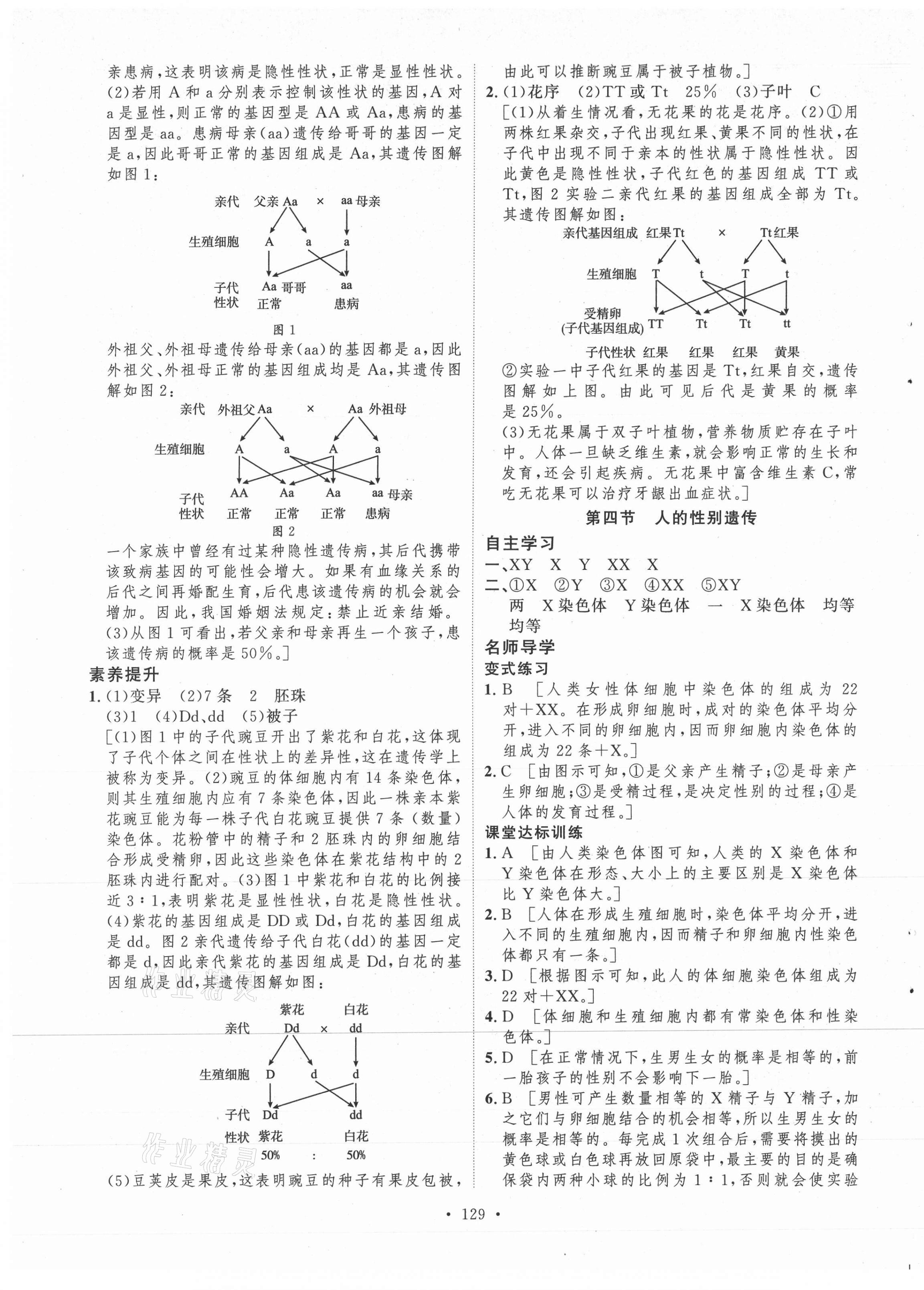 2021年實驗教材新學(xué)案八年級生物下冊人教版 第9頁