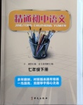 2021年精通初中语文七年级下册人教版