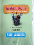 2021年精通初中语文八年级下册人教版