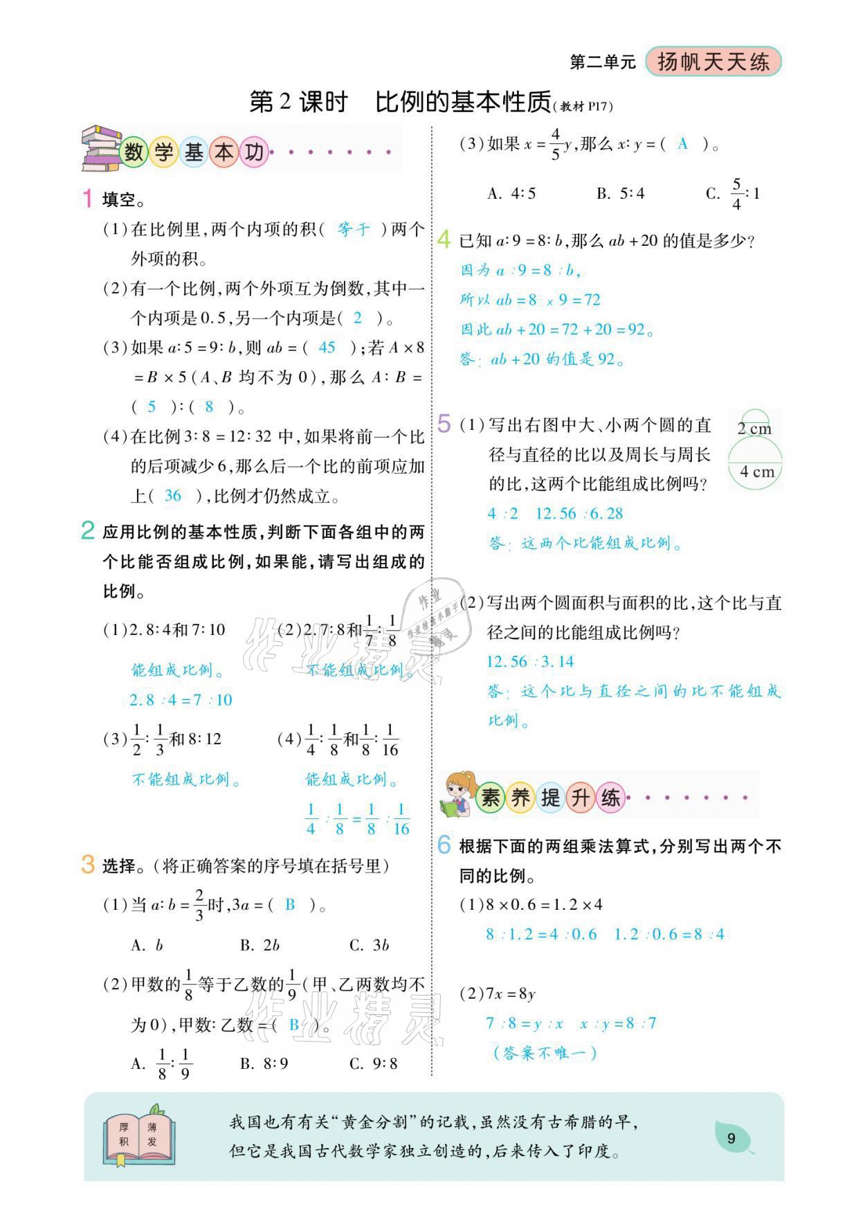 2021年扬帆天天练六年级数学下册北师大版 参考答案第25页