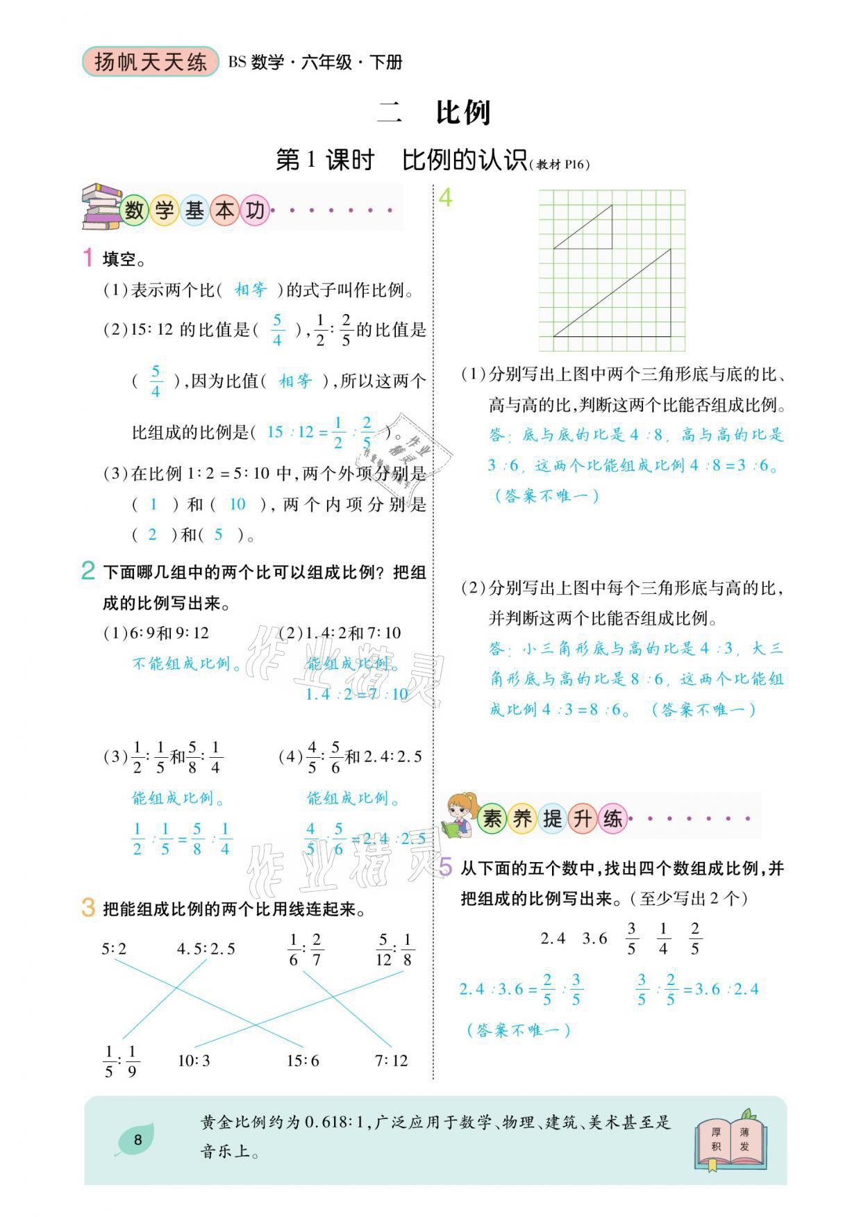 2021年扬帆天天练六年级数学下册北师大版 参考答案第20页