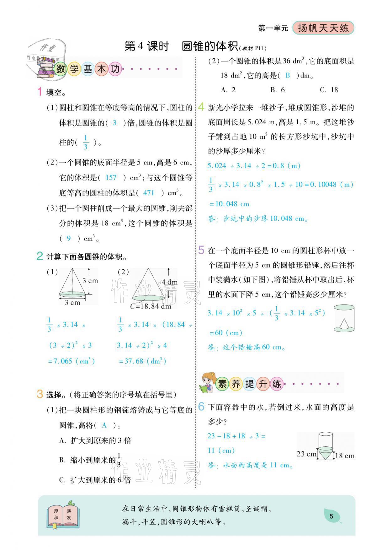 2021年扬帆天天练六年级数学下册北师大版 参考答案第11页