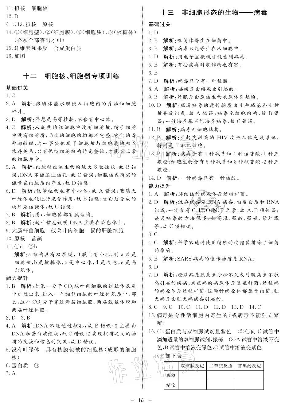 2021年钟书金牌金典导学案高中生物 参考答案第16页