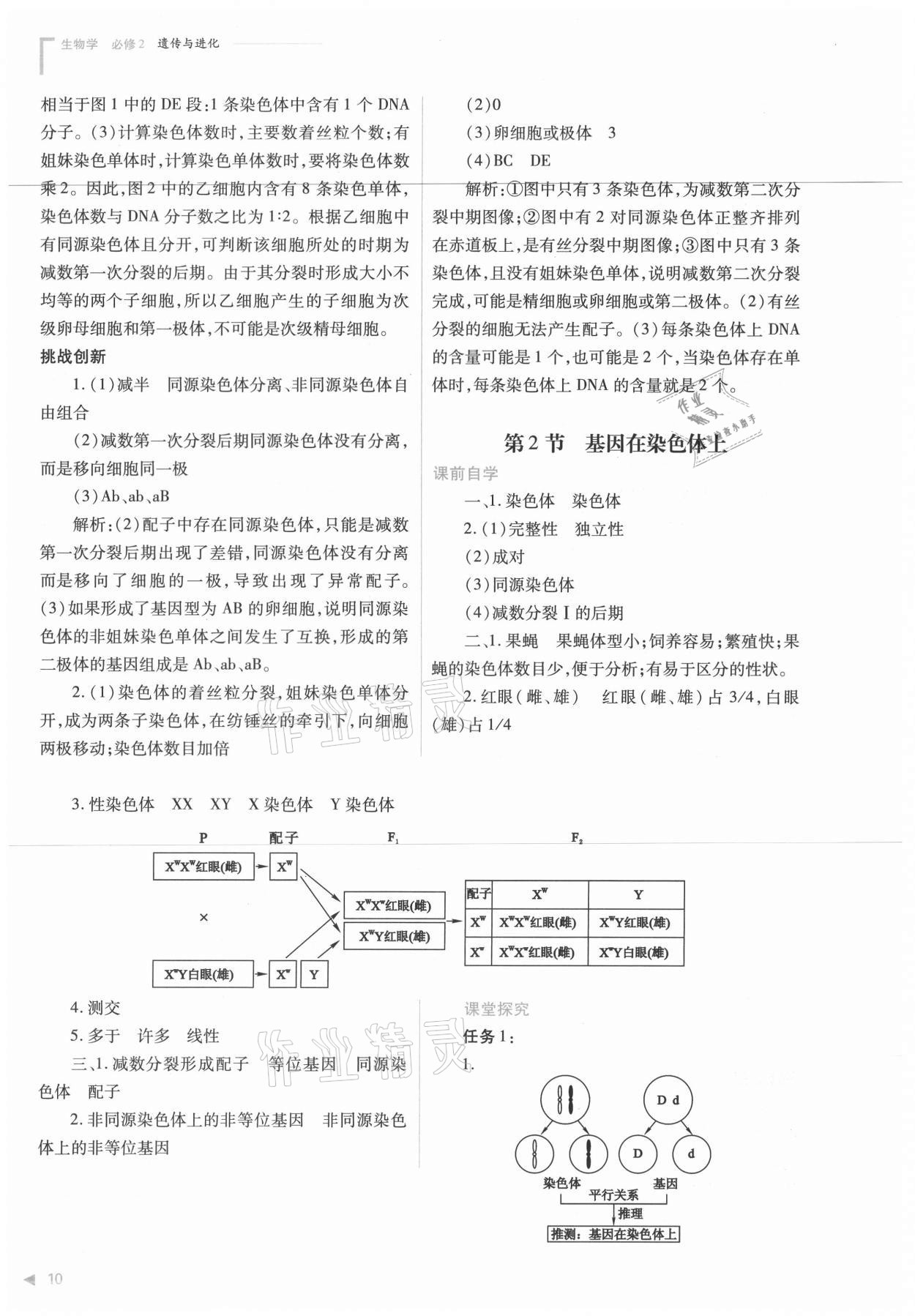 2021年普通高中新課程同步練習冊生物必修2人教版 參考答案第10頁