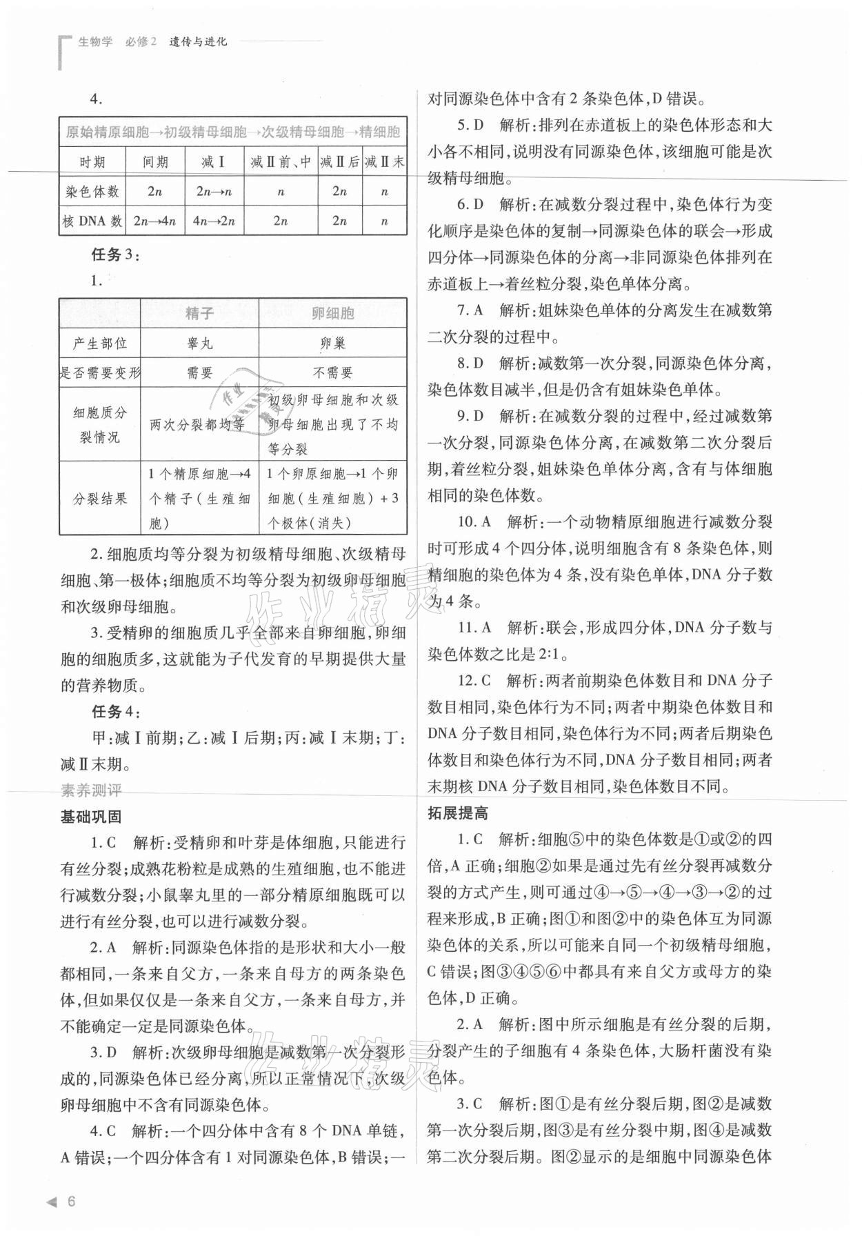 2021年普通高中新課程同步練習(xí)冊(cè)生物必修2人教版 參考答案第6頁