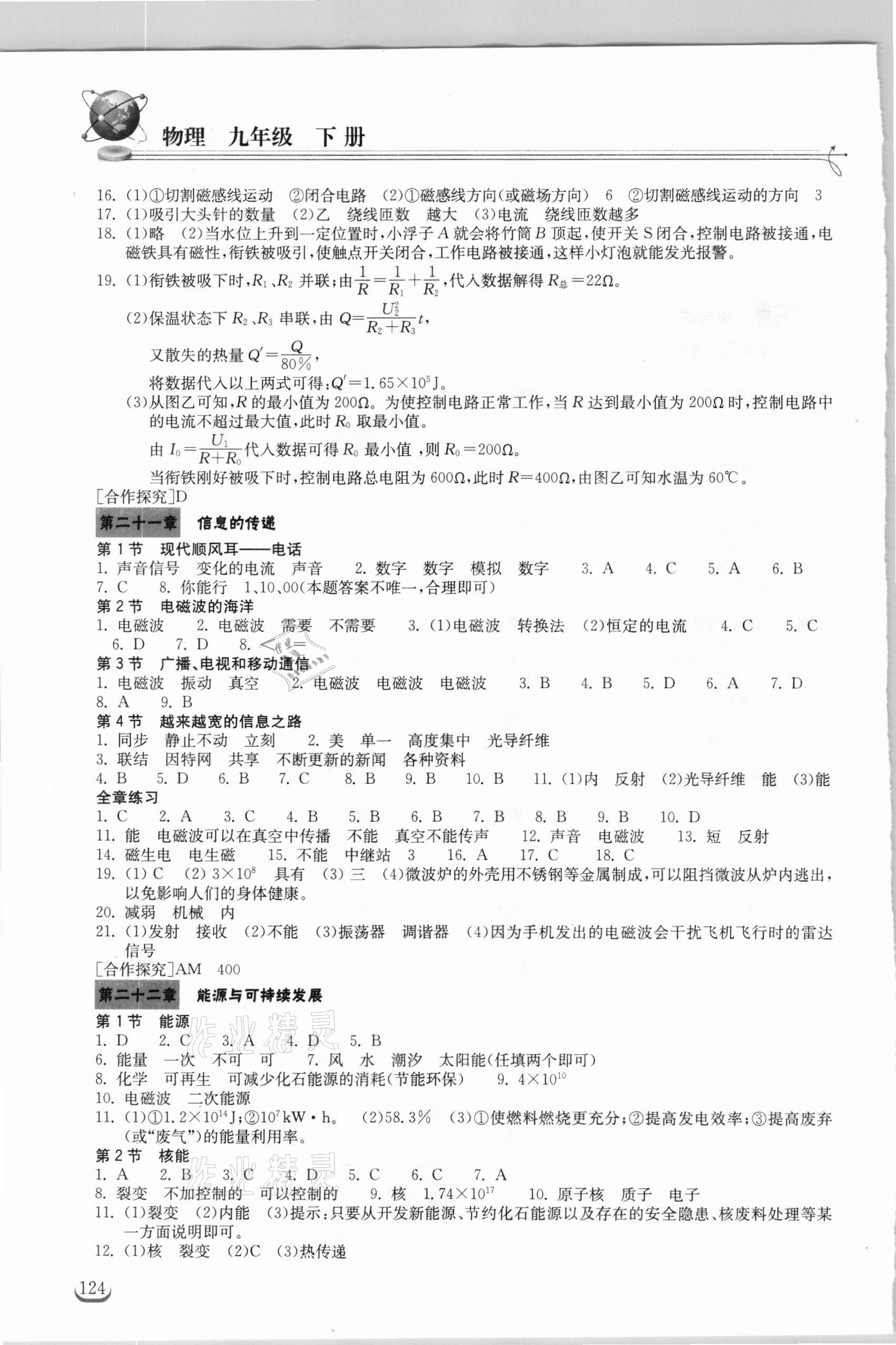 2021年长江作业本同步练习册九年级物理下册人教版 第2页