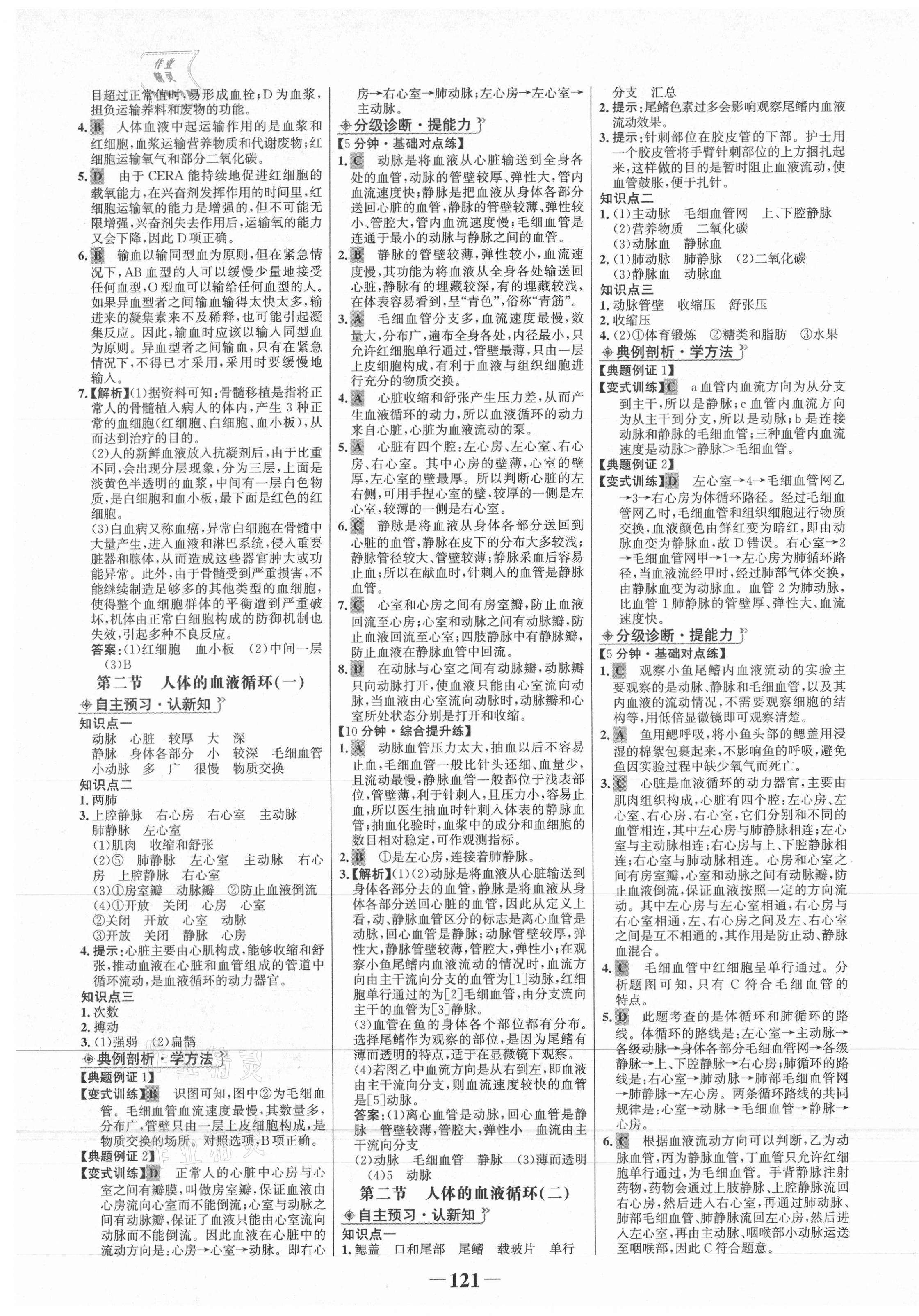 2021年世紀金榜金榜學案七年級生物下冊北師大版 第5頁