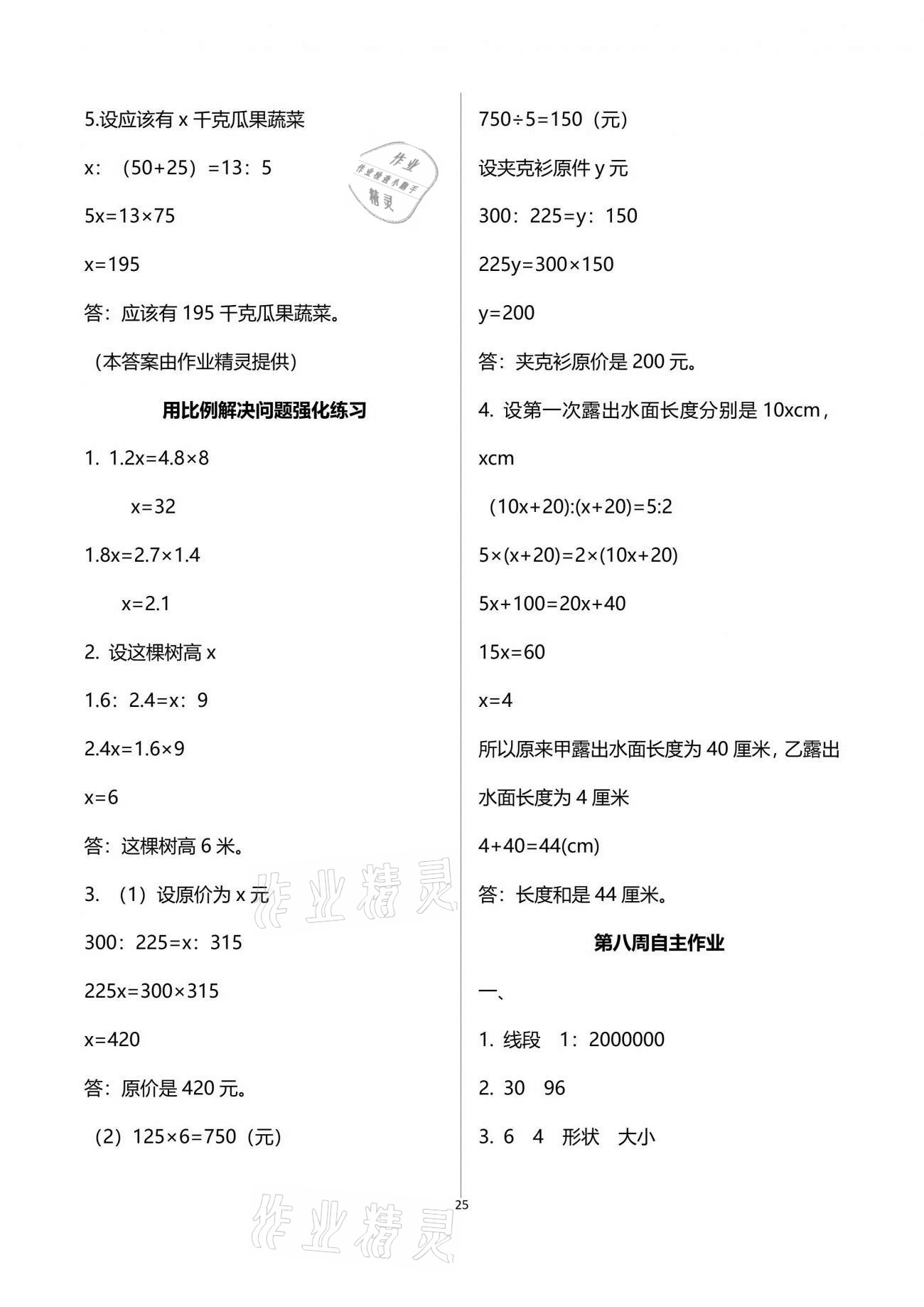 2021年新思维伴你学单元达标测试卷六年级数学下册人教版 参考答案第25页