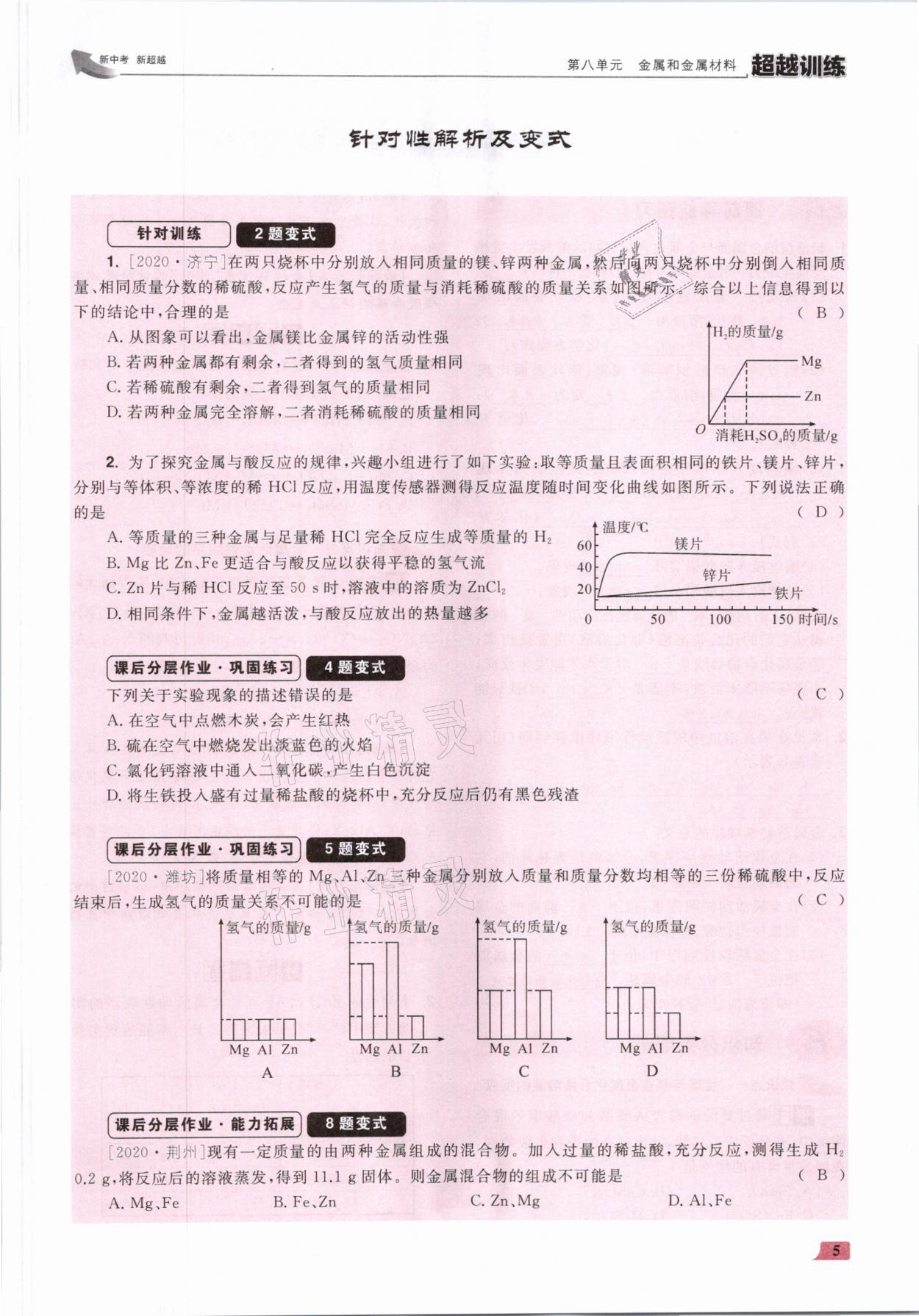 2021年超越訓(xùn)練九年級化學(xué)下冊人教版 參考答案第10頁