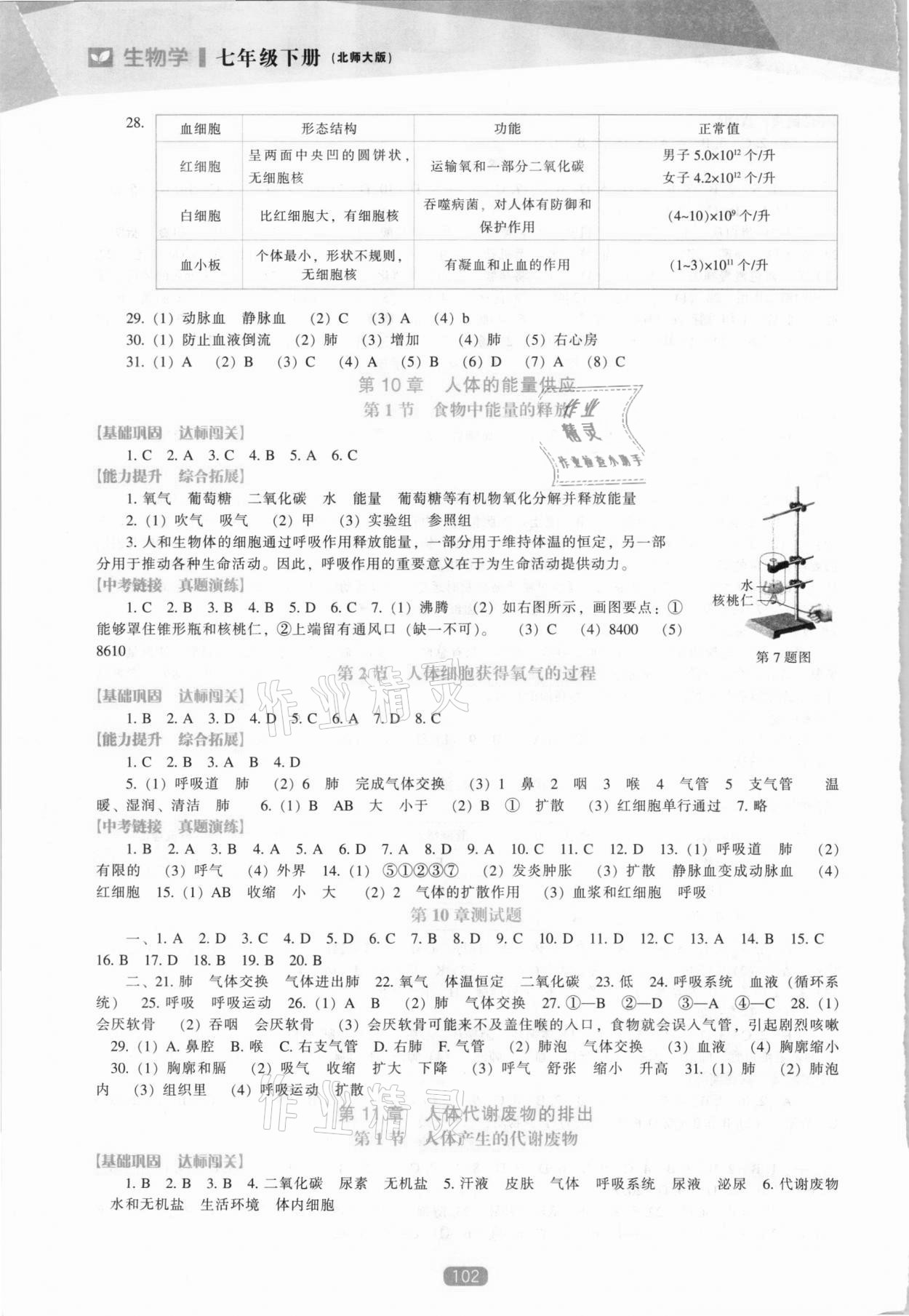 2021年新课程生物学能力培养七年级下册北师大版 参考答案第3页