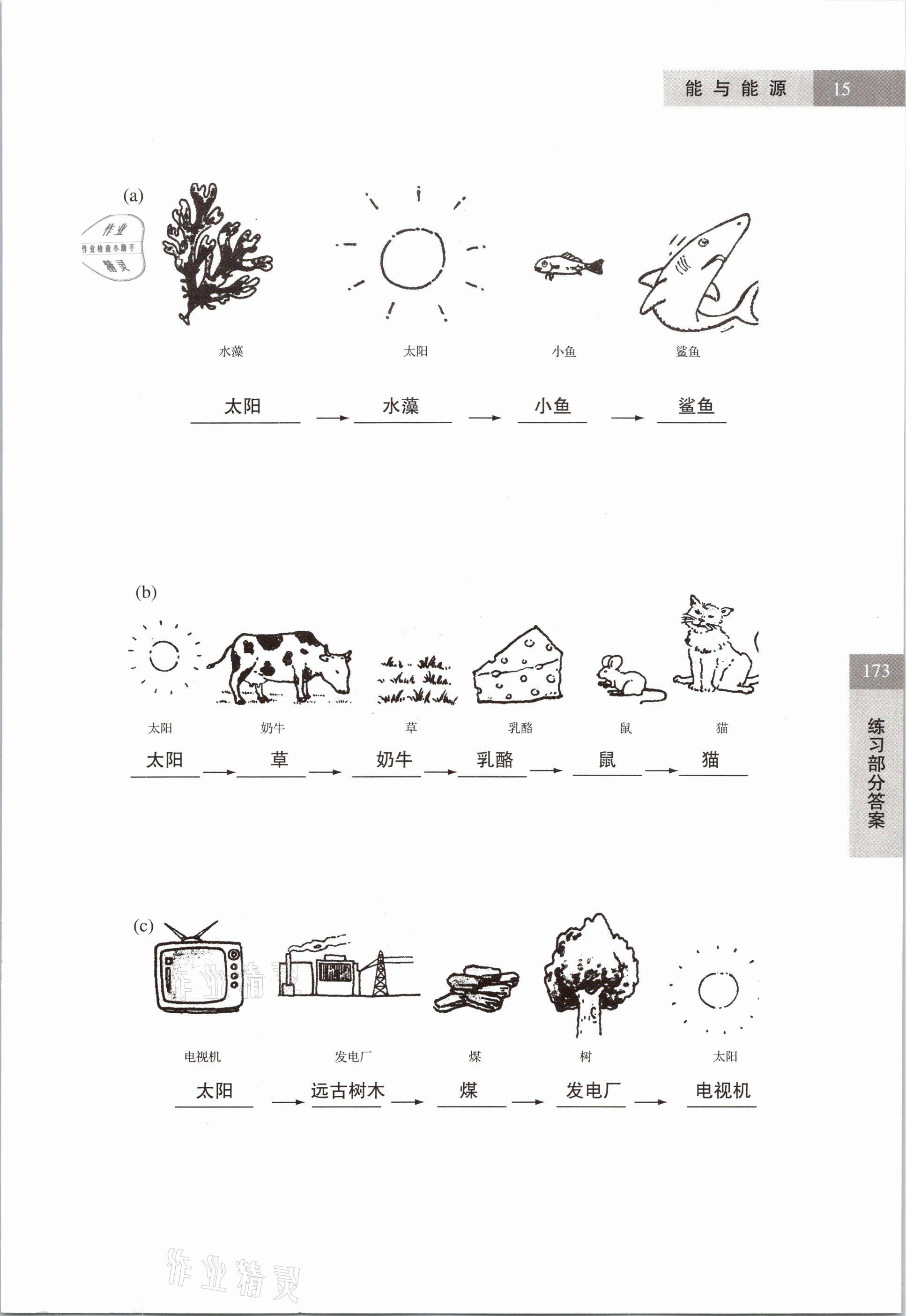 2021年練習部分六年級科學第二學期滬教版54制 參考答案第15頁