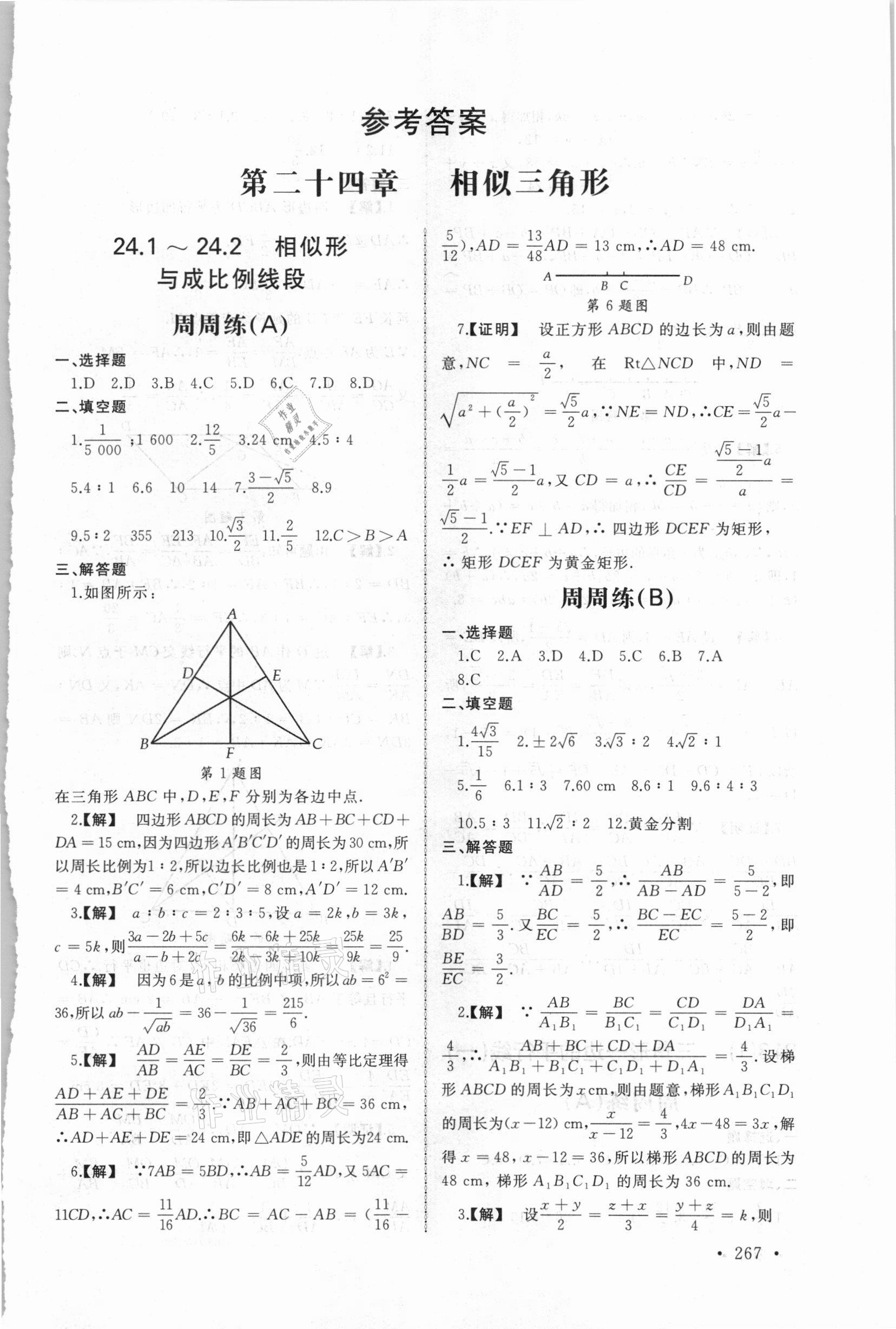 2021年新视觉九年级数学全一册沪教版 第1页