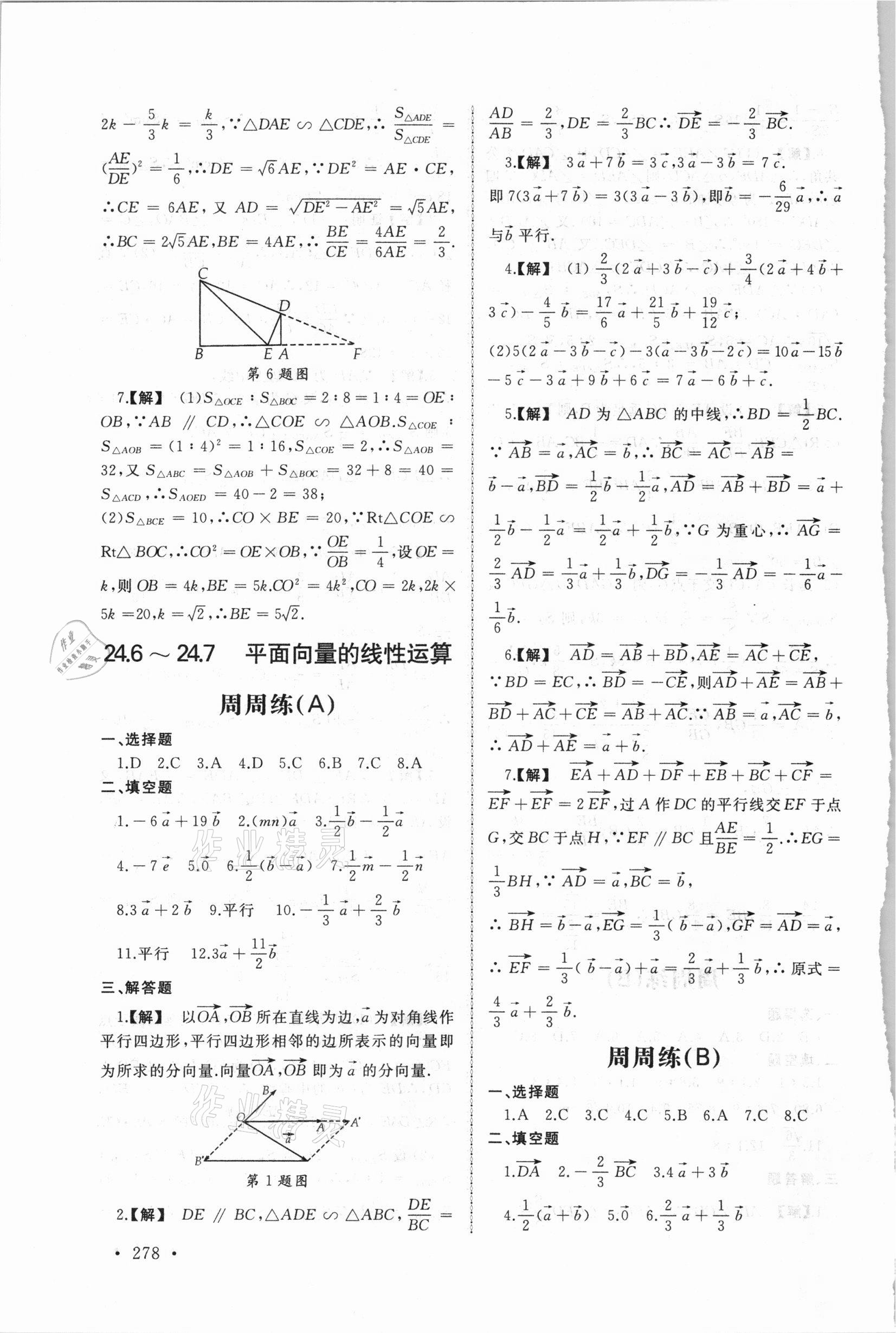 2021年新视觉九年级数学全一册沪教版 第12页