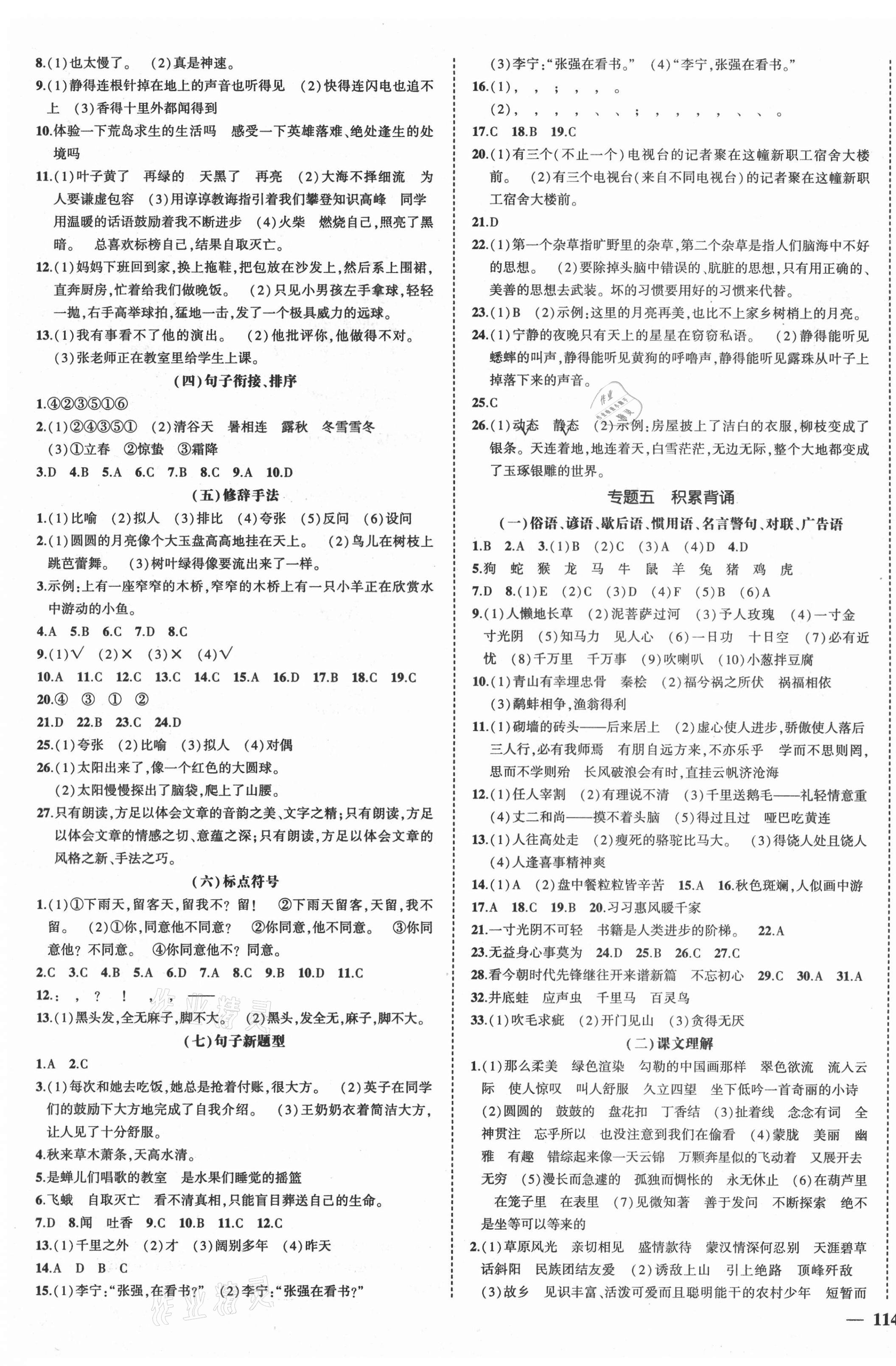 2021年奪分A計(jì)劃小學(xué)畢業(yè)升學(xué)總復(fù)習(xí)語文 第3頁