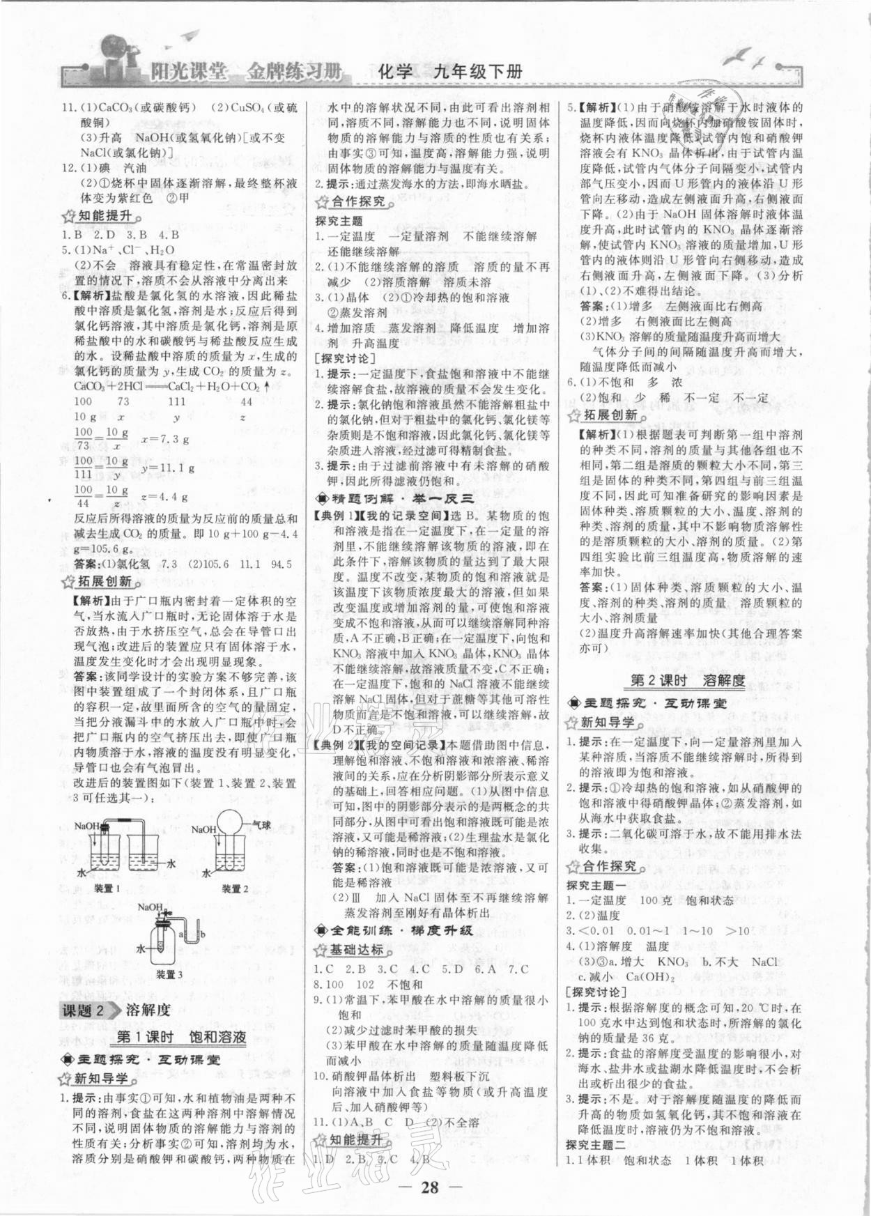 2021年阳光课堂金牌练习册九年级化学下册人教版 第4页