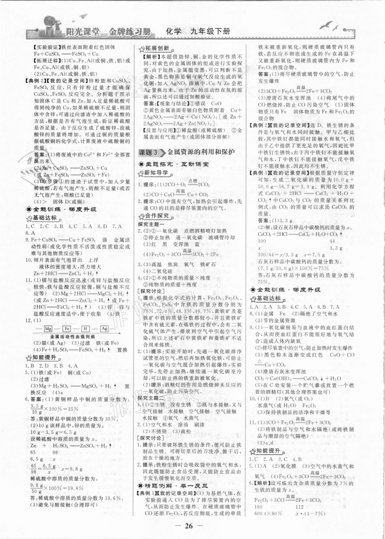 2021年阳光课堂金牌练习册九年级化学下册人教版 第2页