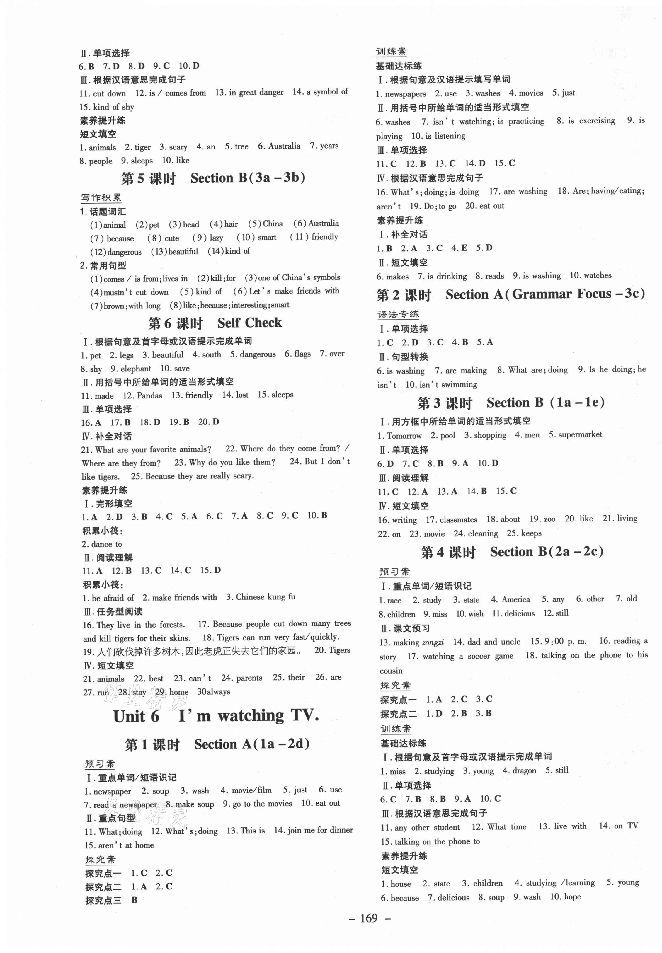 2021年初中同步學(xué)習(xí)導(dǎo)與練導(dǎo)學(xué)探究案七年級英語下冊人教版 第5頁