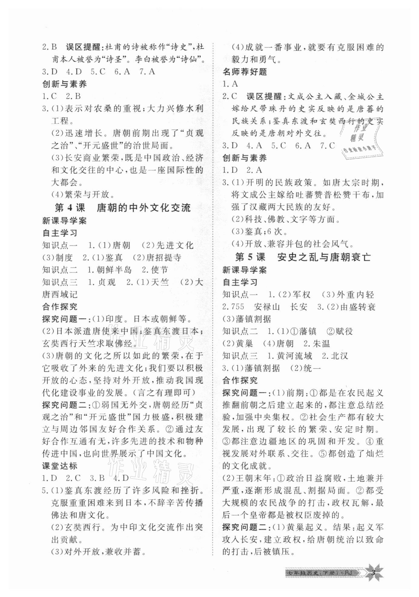 2021年導(dǎo)學(xué)與演練七年級歷史下冊人教版 第3頁