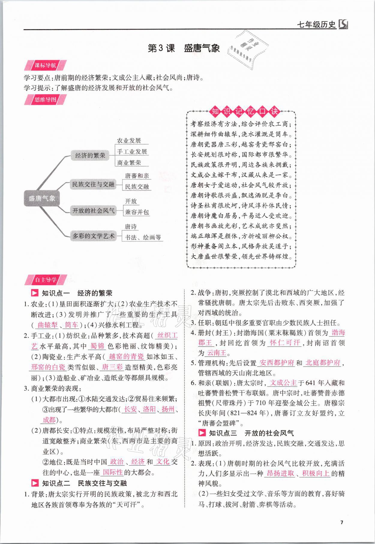 2021年我的作業(yè)七年級(jí)歷史下冊(cè)人教版 參考答案第7頁