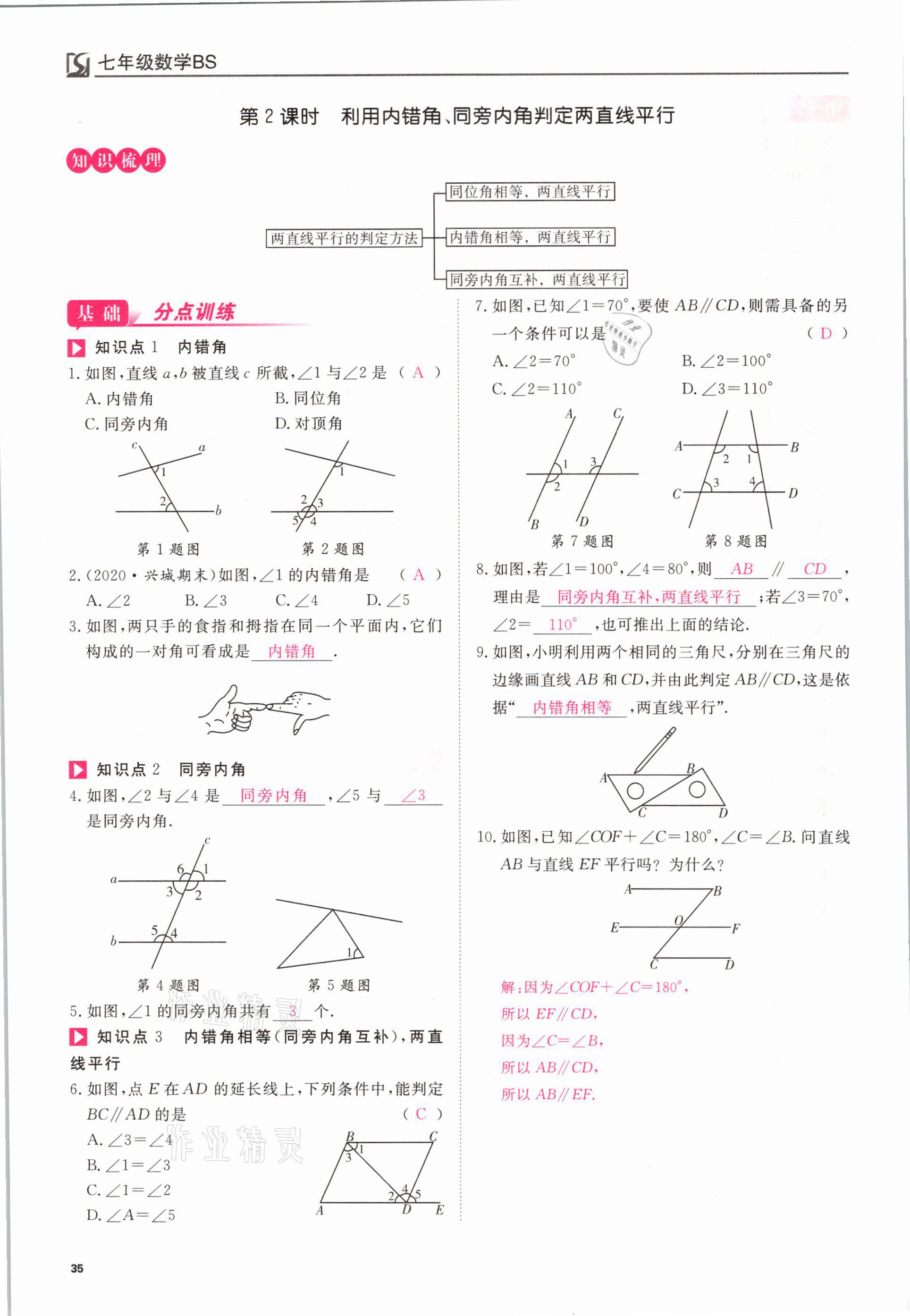 2021年我的作業(yè)七年級數(shù)學下冊北師大版 參考答案第35頁