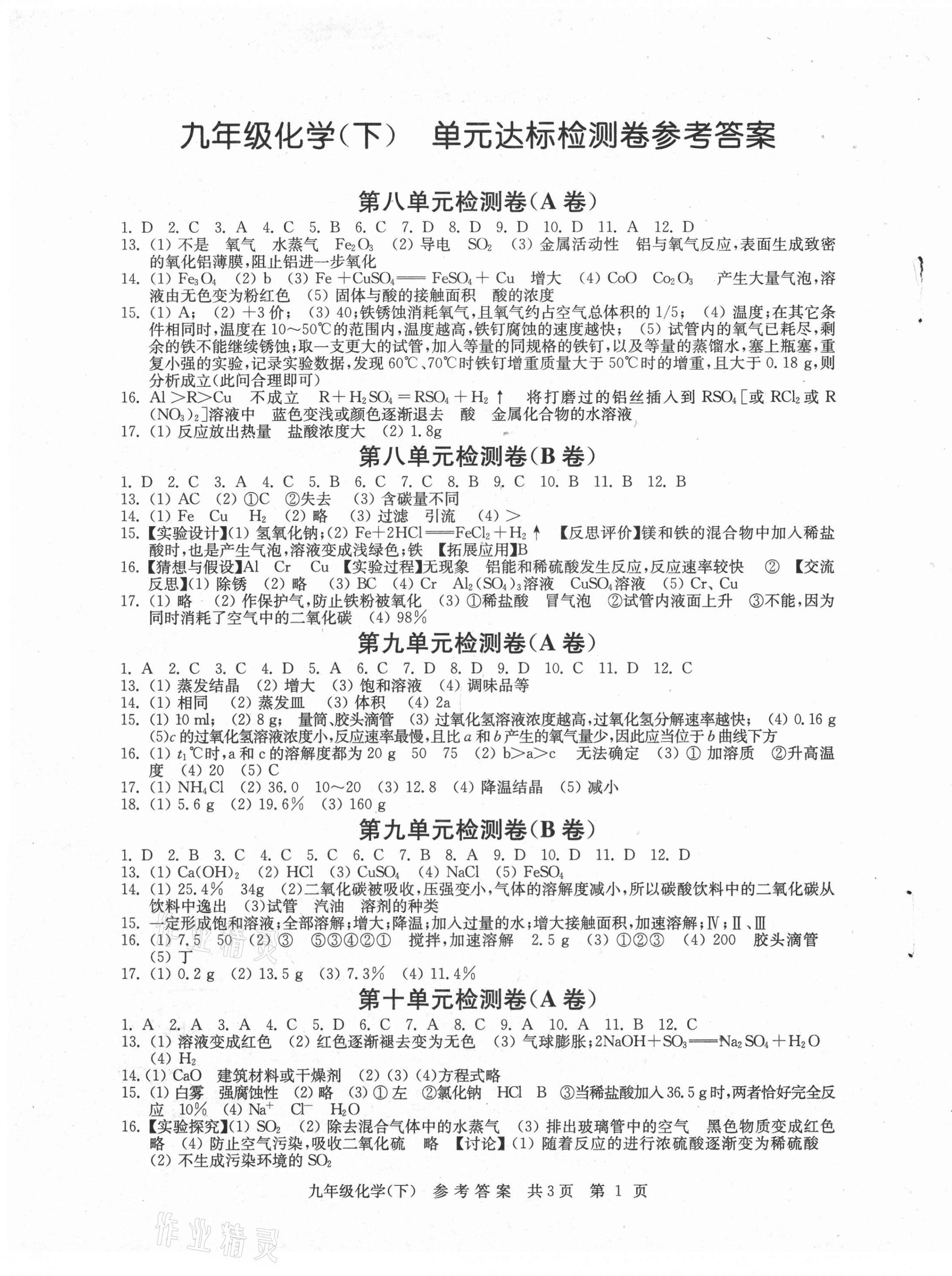 2021年伴你学单元达标测试卷九年级化学下册人教版 参考答案第1页