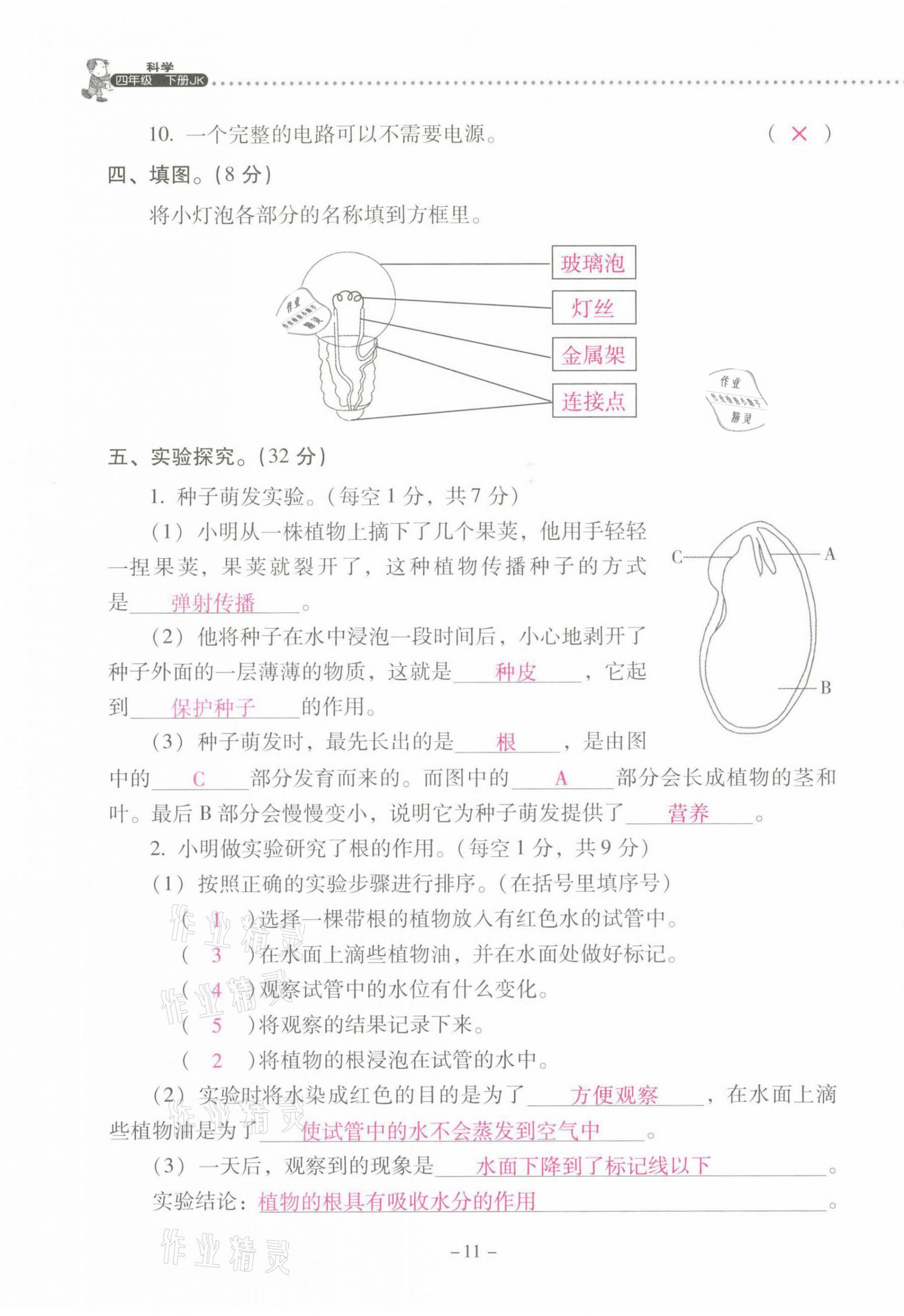2021年云南省标准教辅同步指导训练与检测四年级科学下册教科版 第11页