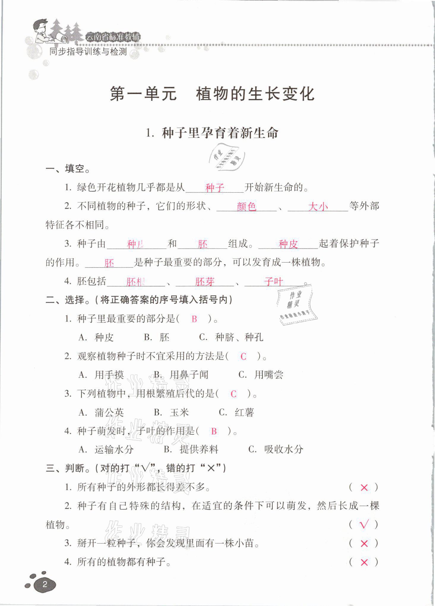 2021年云南省标准教辅同步指导训练与检测四年级科学下册教科版 参考答案第2页