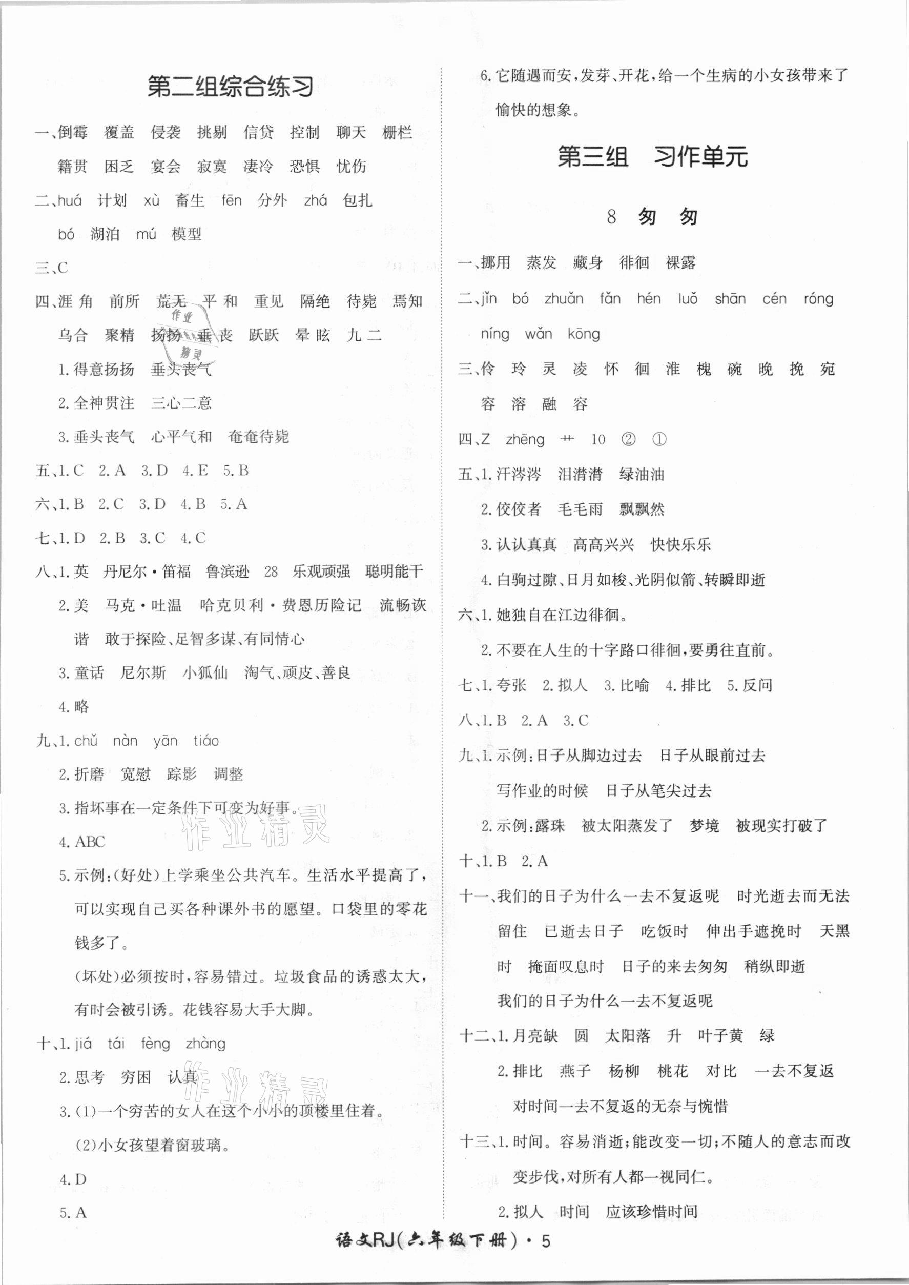 2021年黃岡360定制課時(shí)六年級(jí)語(yǔ)文下冊(cè)人教版湖南專(zhuān)版 第5頁(yè)