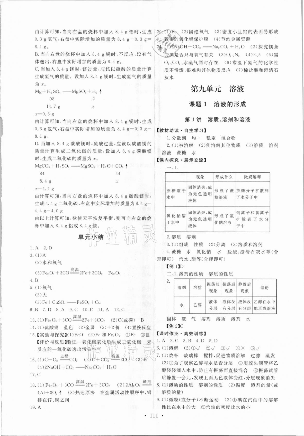 2021年能力培养与测试九年级化学下册人教版湖南专版 第5页