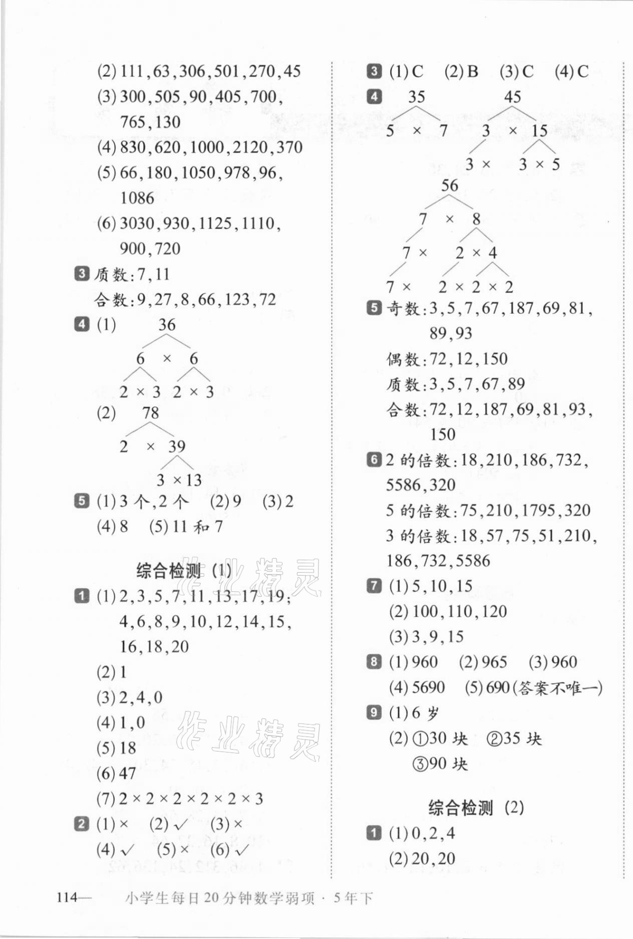 2021年小学生每日20分钟数学弱项五年级下册人教版 第3页