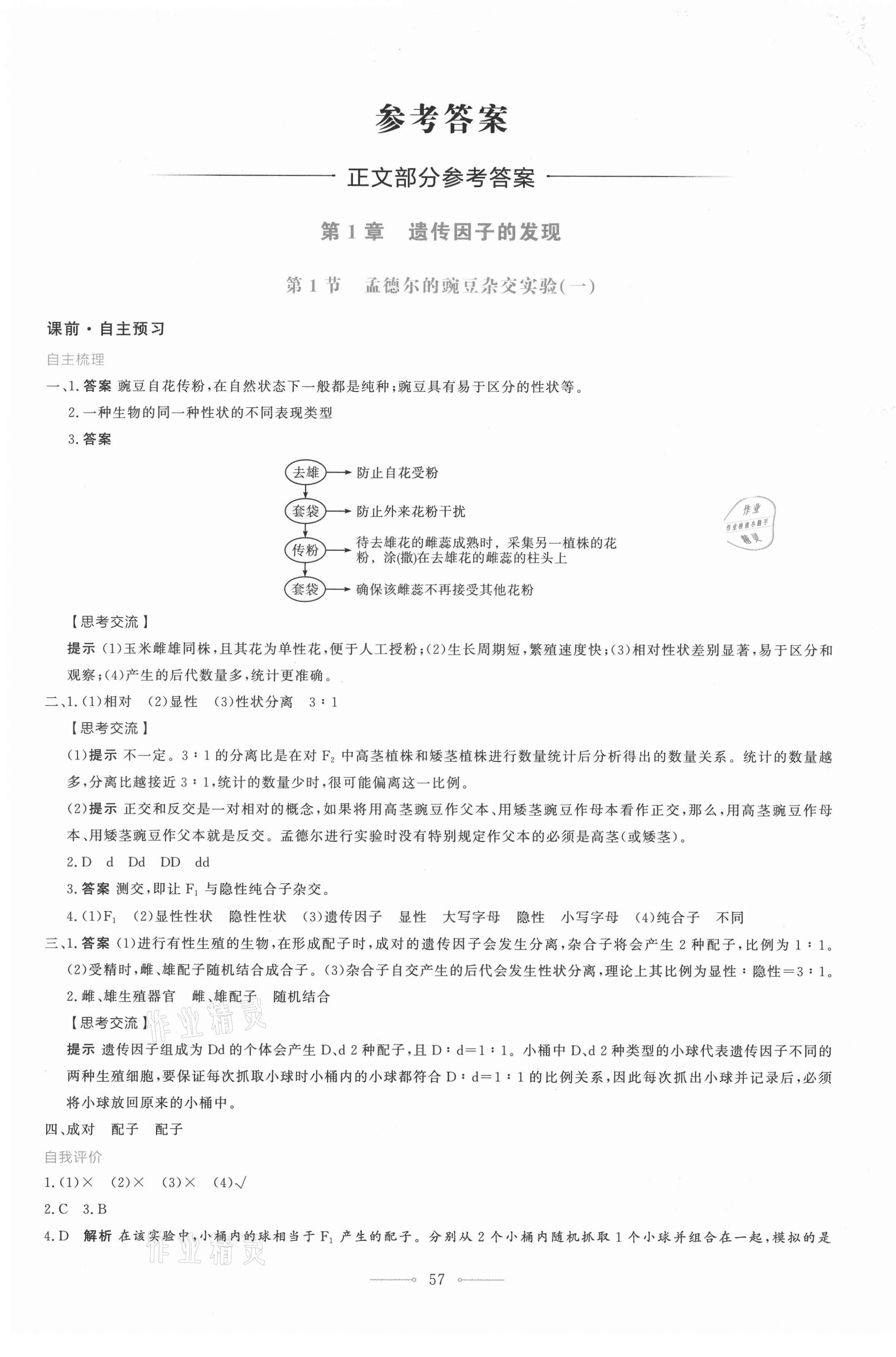 2021年阳光课堂生物学必修2遗传与进化人教版人民教育出版社 第1页