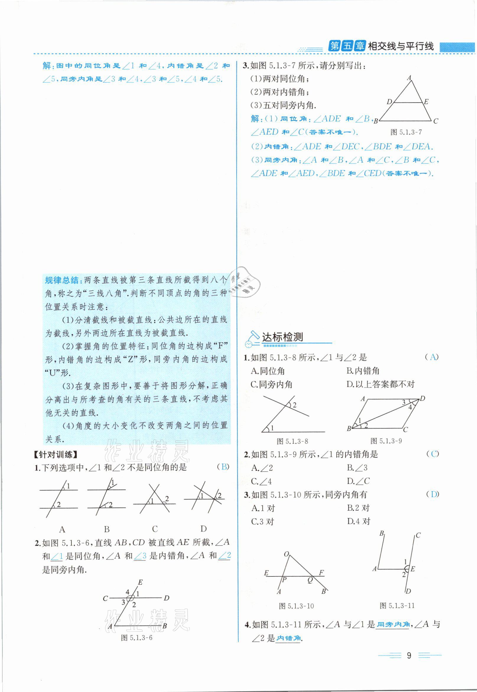 2021年人教金学典同步解析与测评七年级数学下册人教版云南专版 参考答案第9页