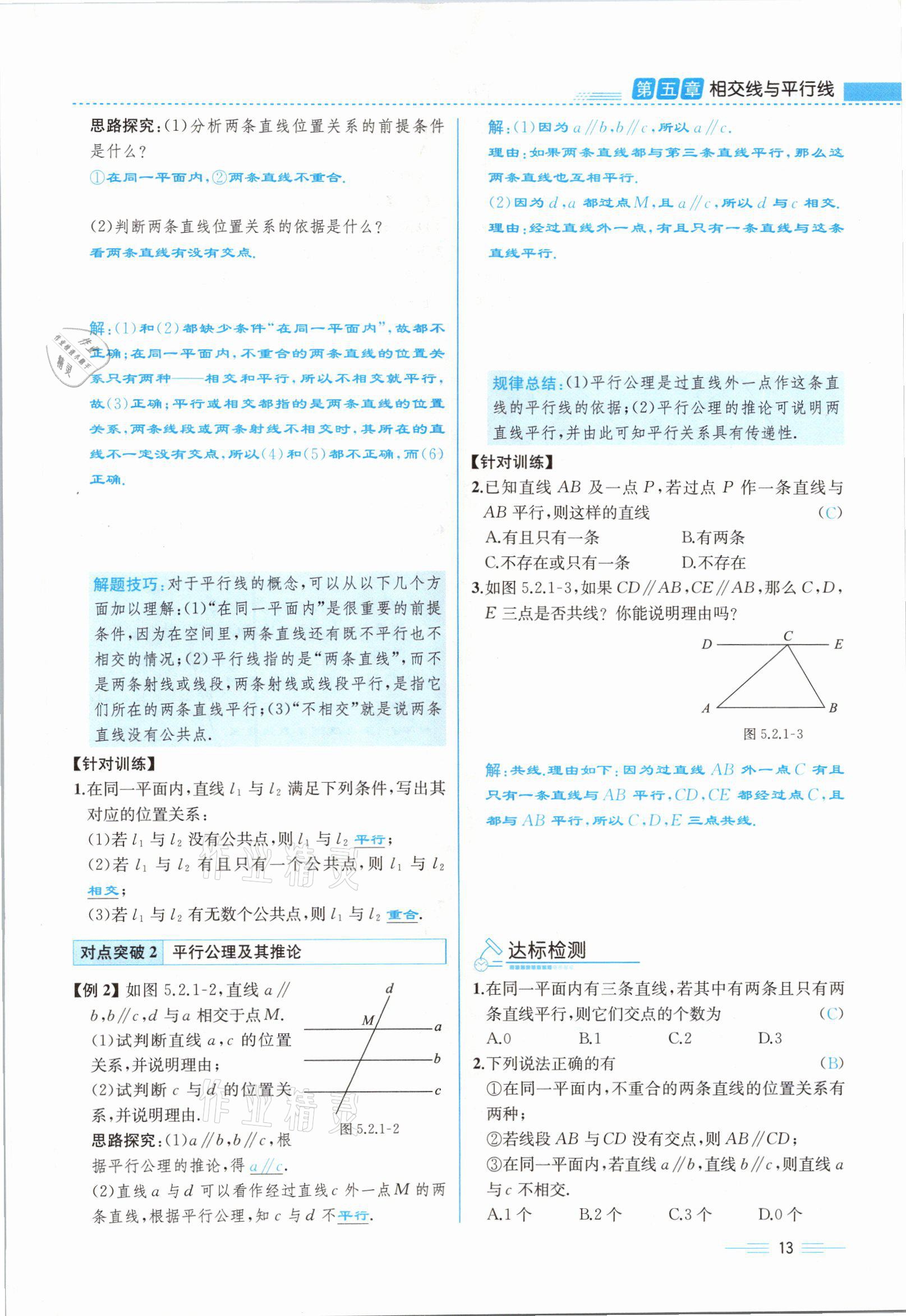 2021年人教金学典同步解析与测评七年级数学下册人教版云南专版 参考答案第13页