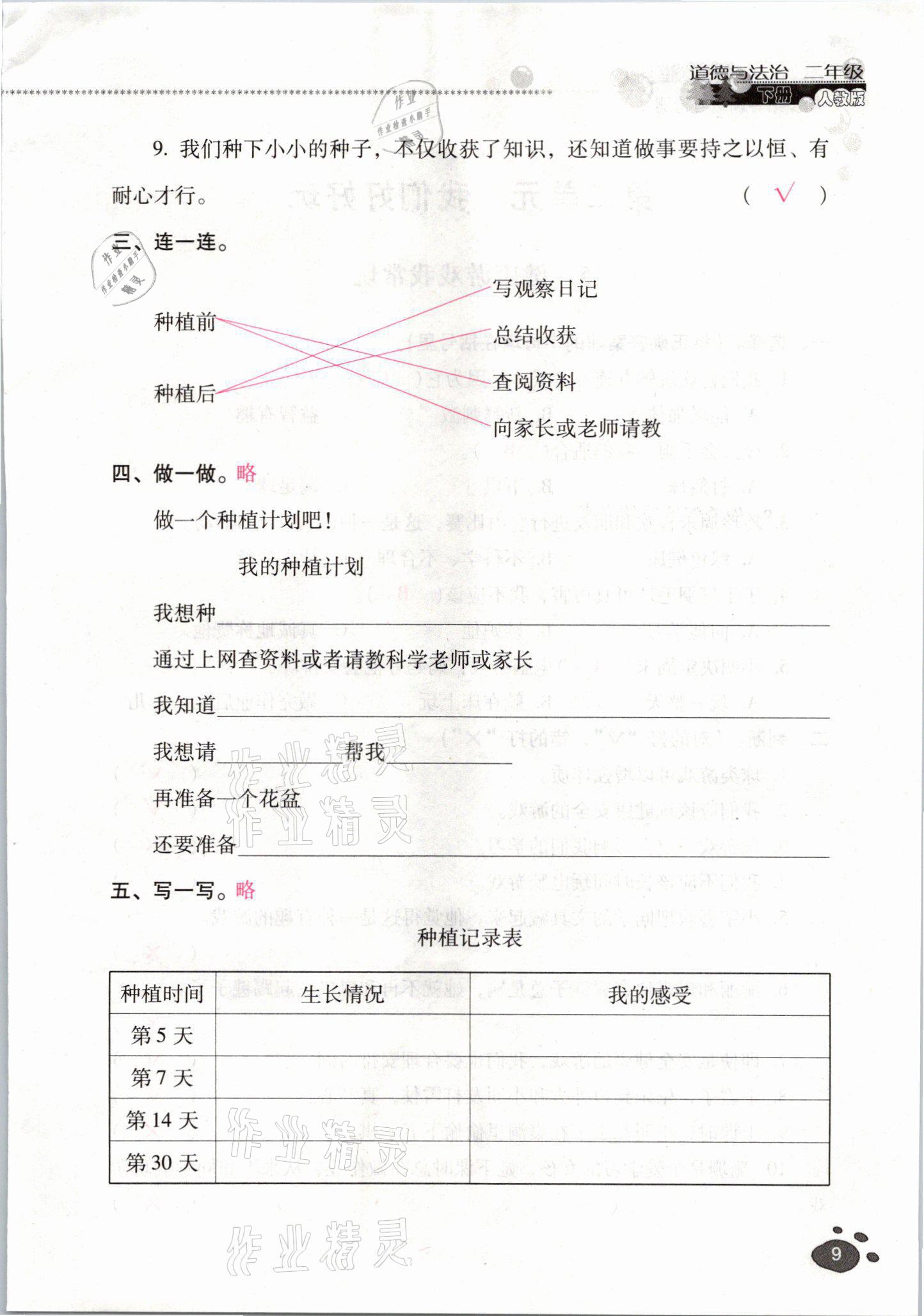 2021年云南省标准教辅同步指导训练与检测二年级道德与法治下册人教版 参考答案第8页