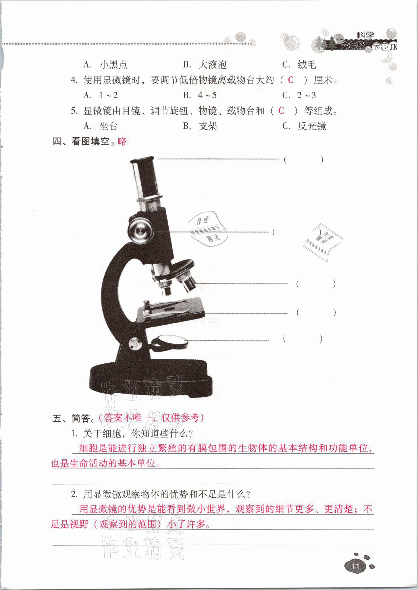 2021年云南省标准教辅同步指导训练与检测六年级科学下册教科版 参考答案第10页