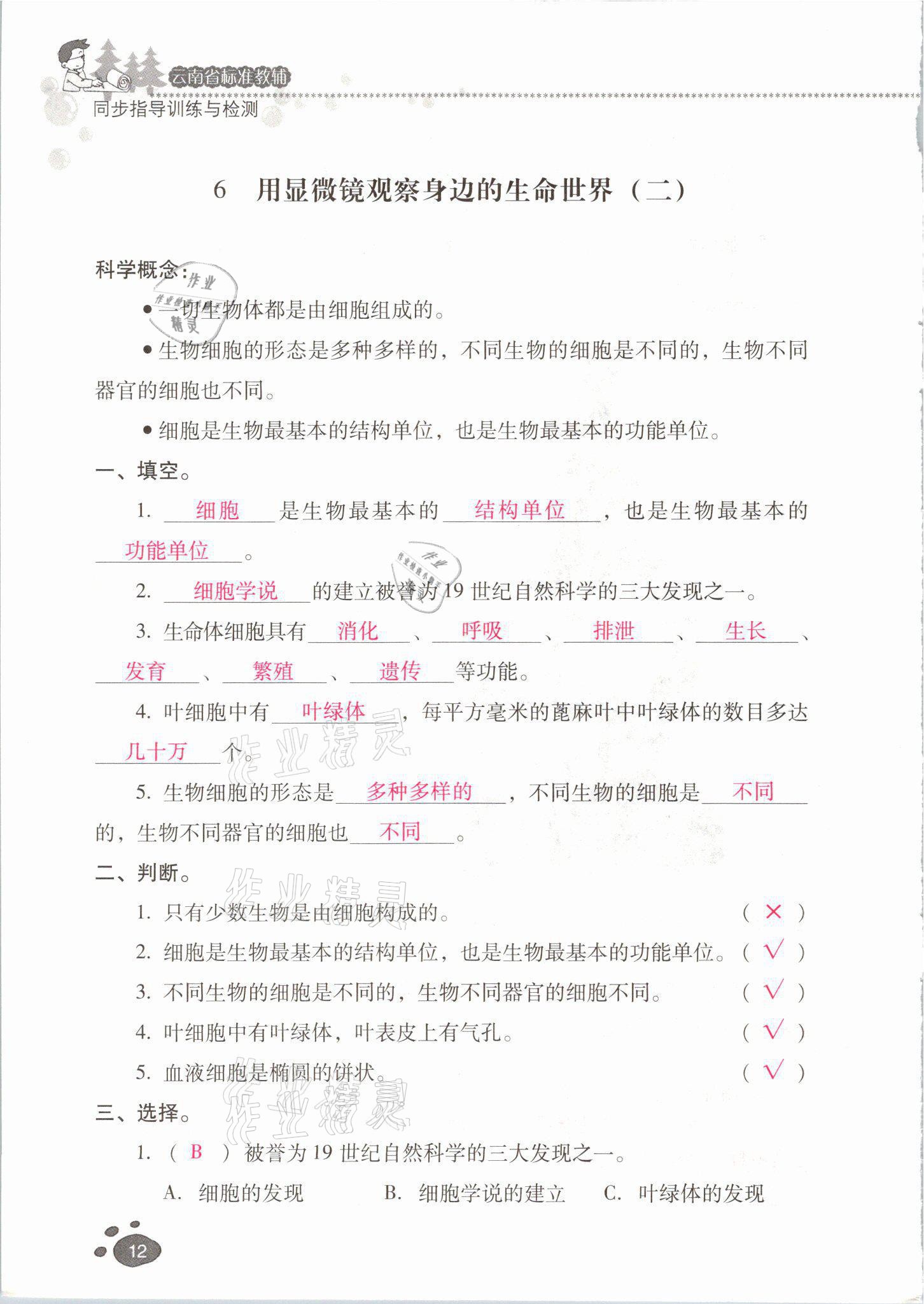 2021年云南省标准教辅同步指导训练与检测六年级科学下册教科版 参考答案第11页